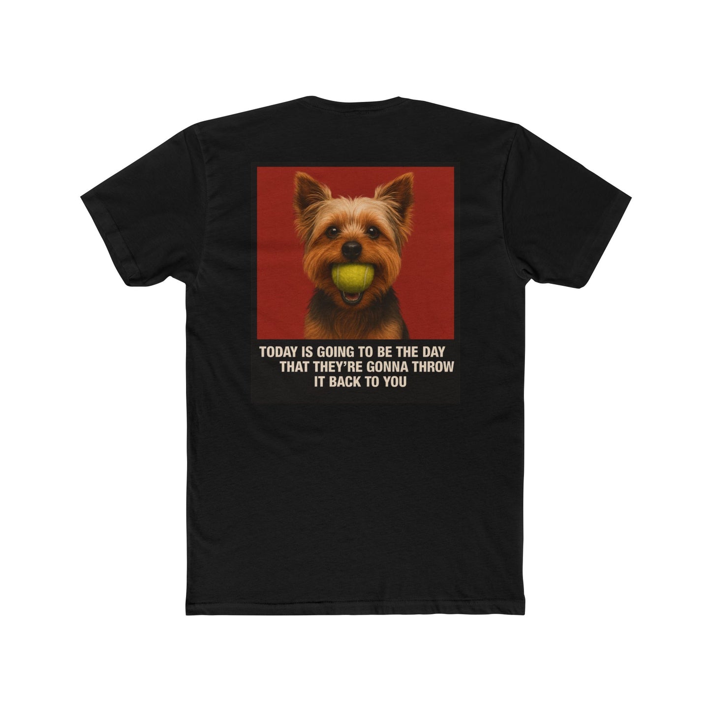 WonderBall Yorkie Custom - Oscar