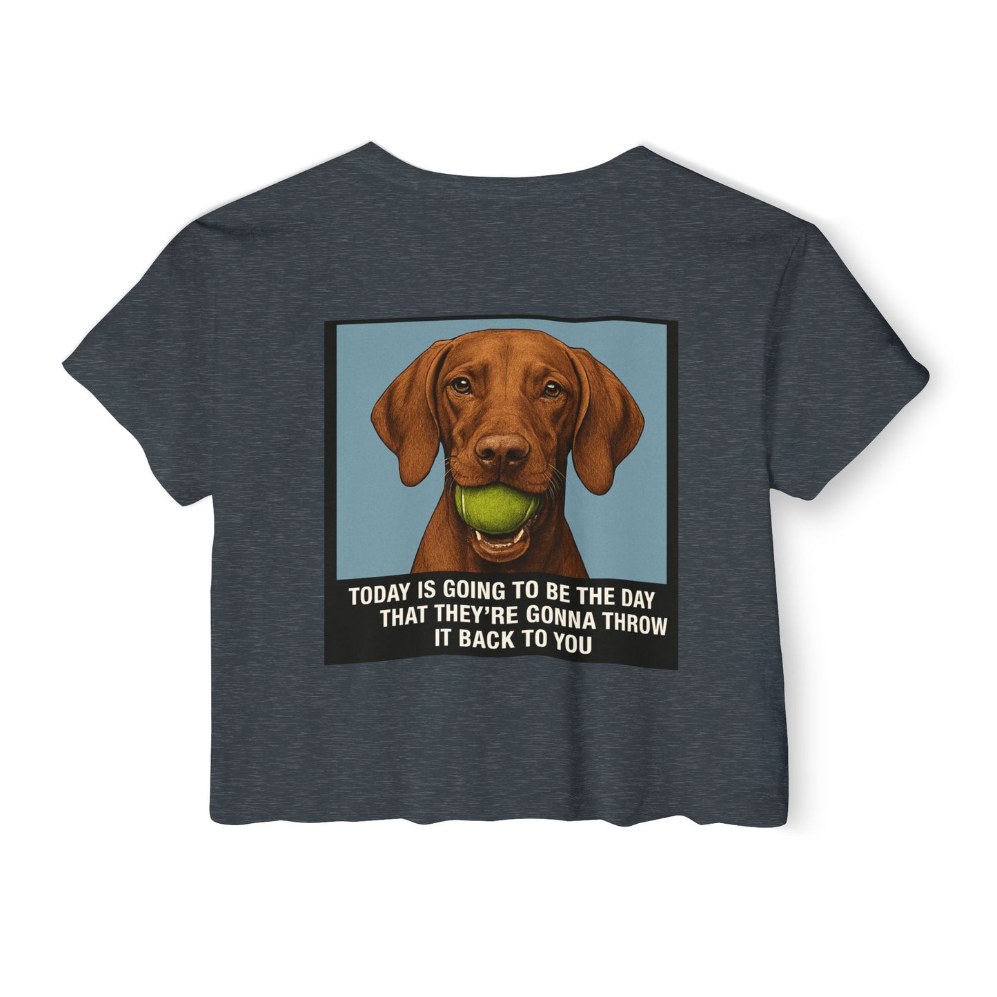 WonderBall Custom Vizla