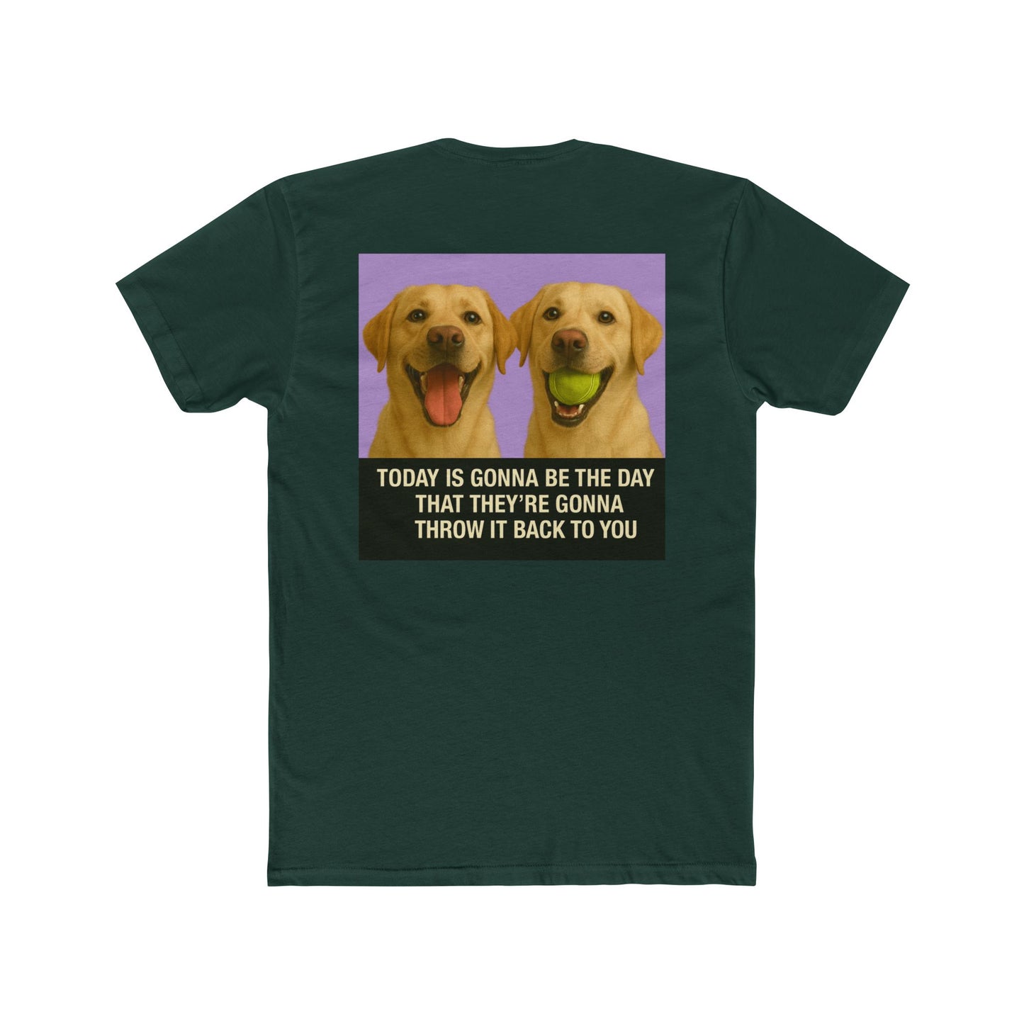 WonderBall Labrador Duo