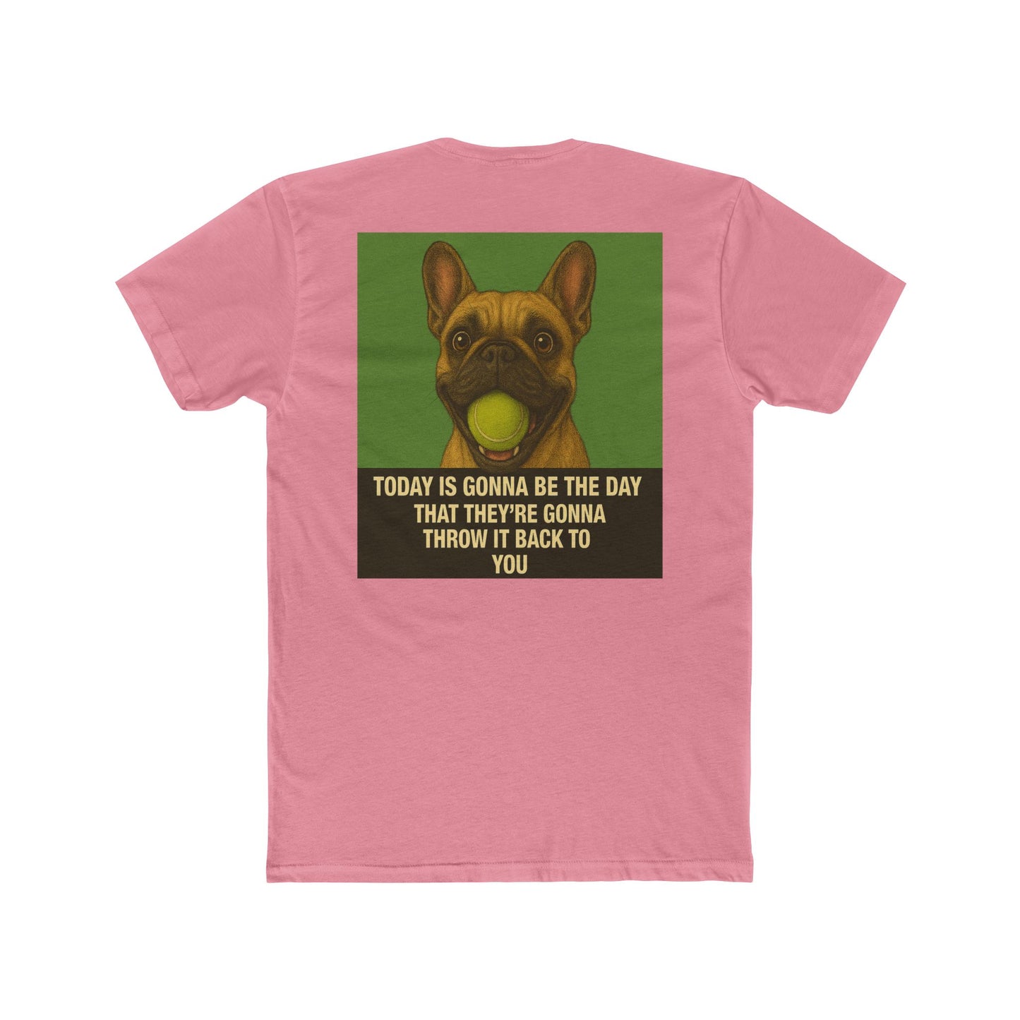 WonderBall French Bulldog