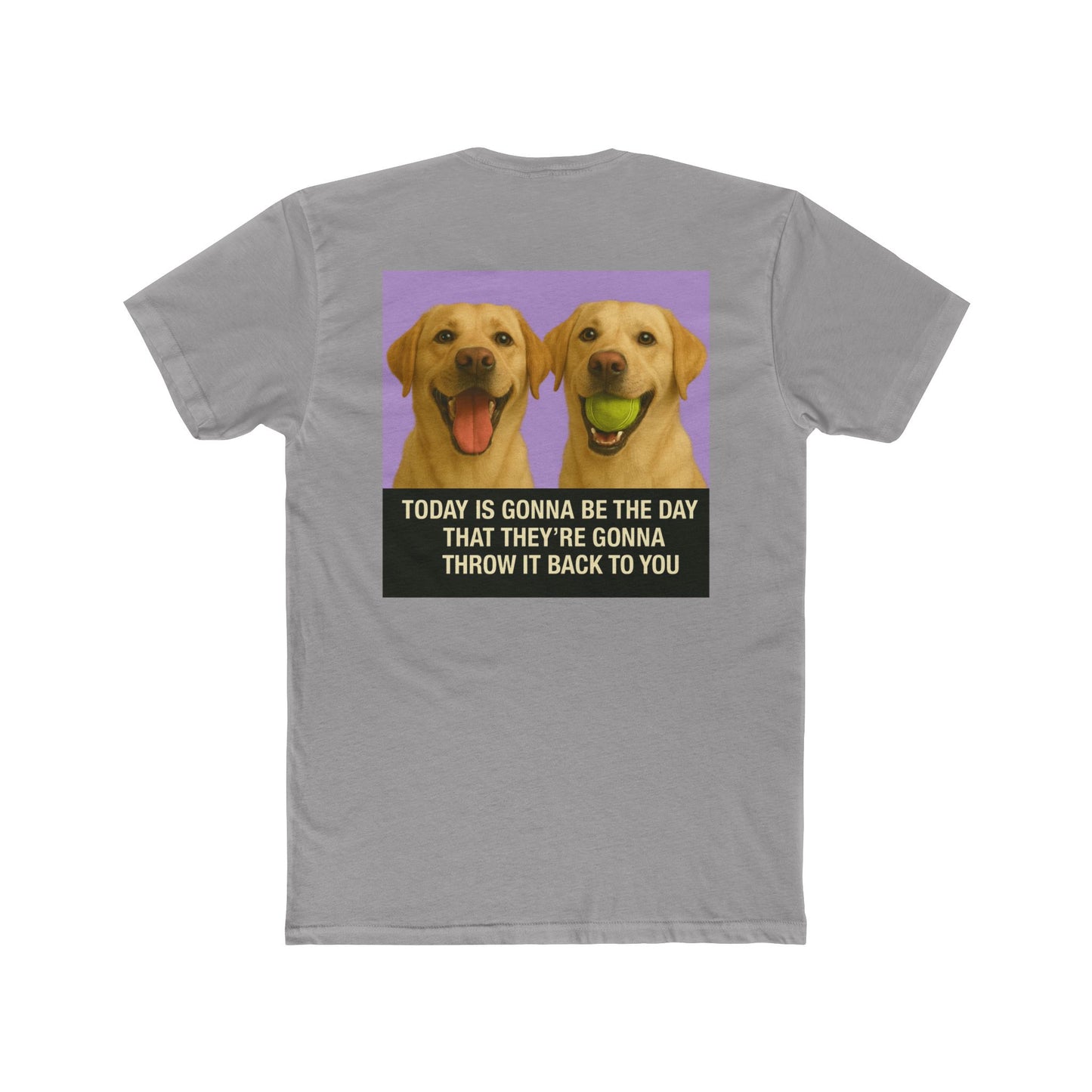 WonderBall Labrador Duo