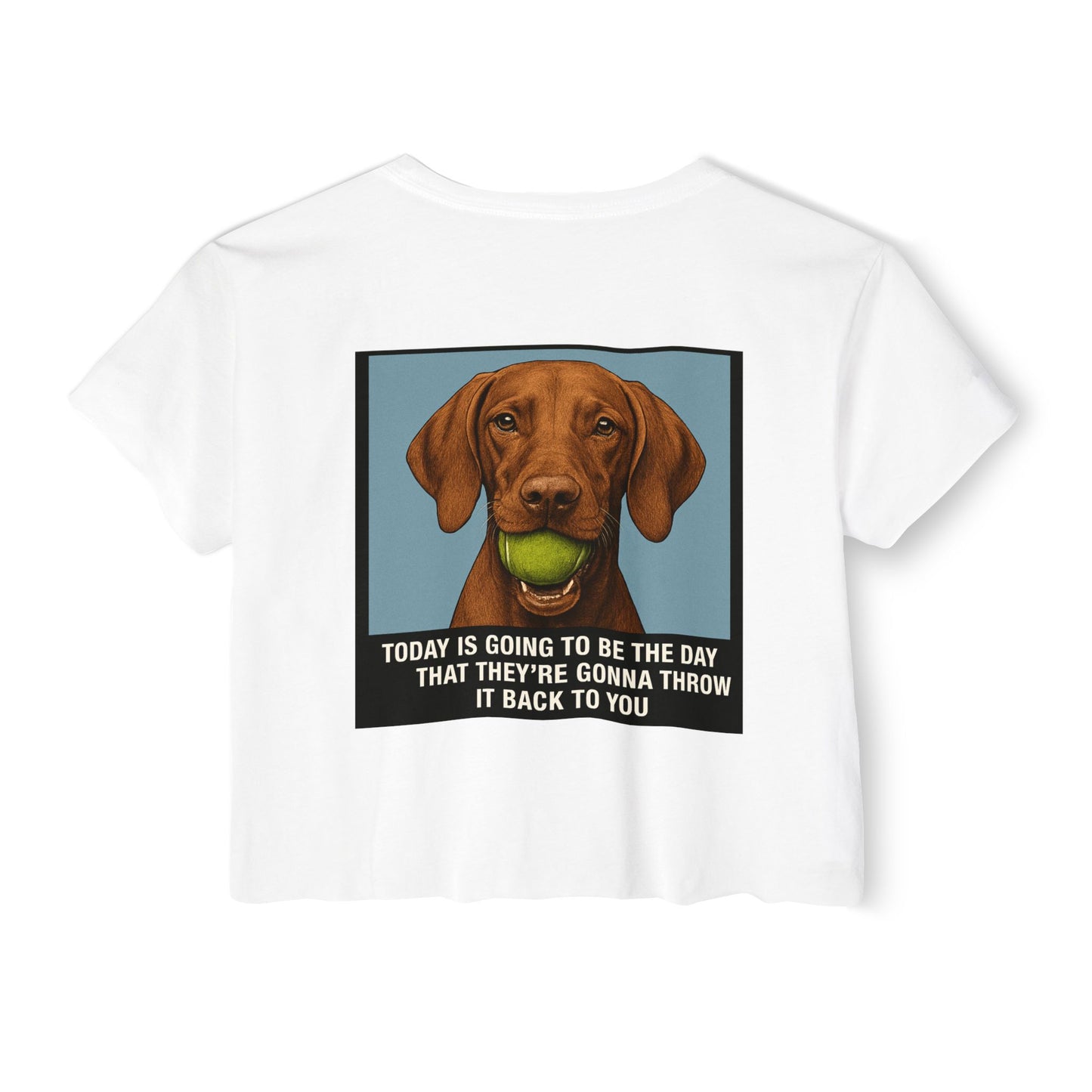 WonderBall Custom Vizla