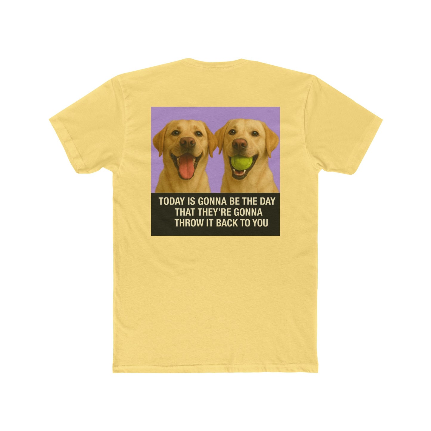 WonderBall Labrador Duo