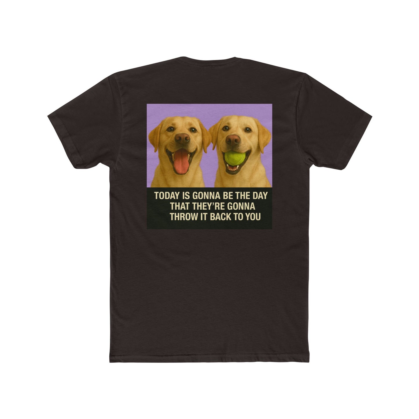 WonderBall Labrador Duo
