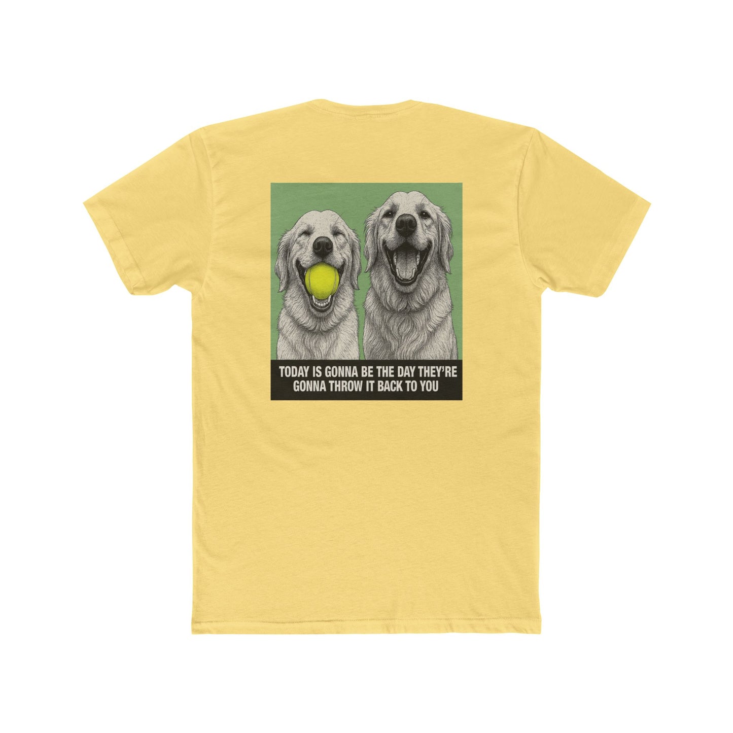 WonderBall Golden Retriever Duo