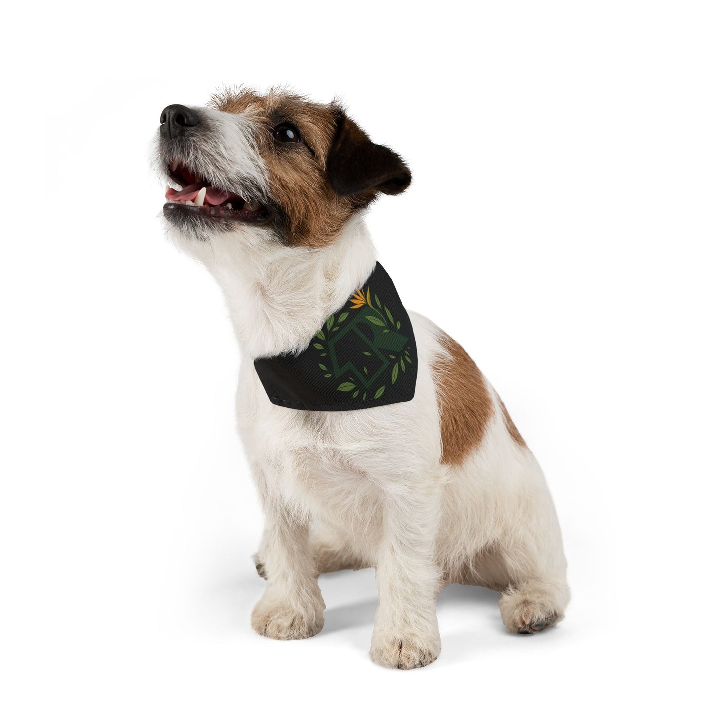12R Bandana Collar