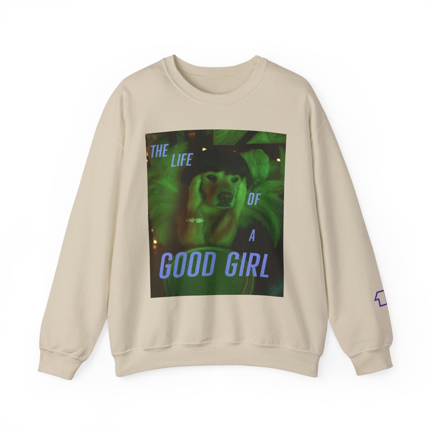 The Good Girl Era - "It's Rapturous" Sweater (Image on Front)
