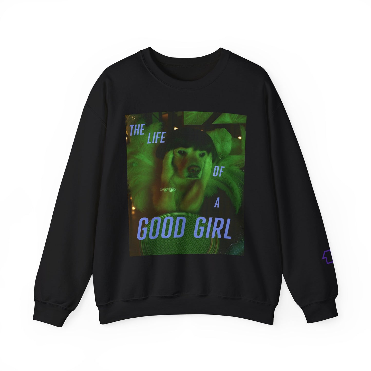 The Good Girl Era - "It's Rapturous" Sweater (Image on Front)