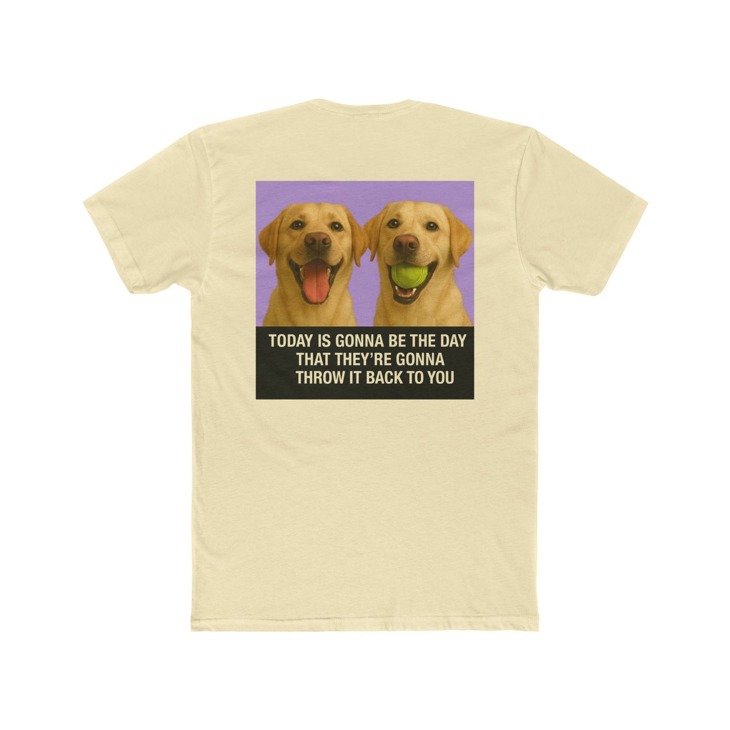 WonderBall Labrador Duo