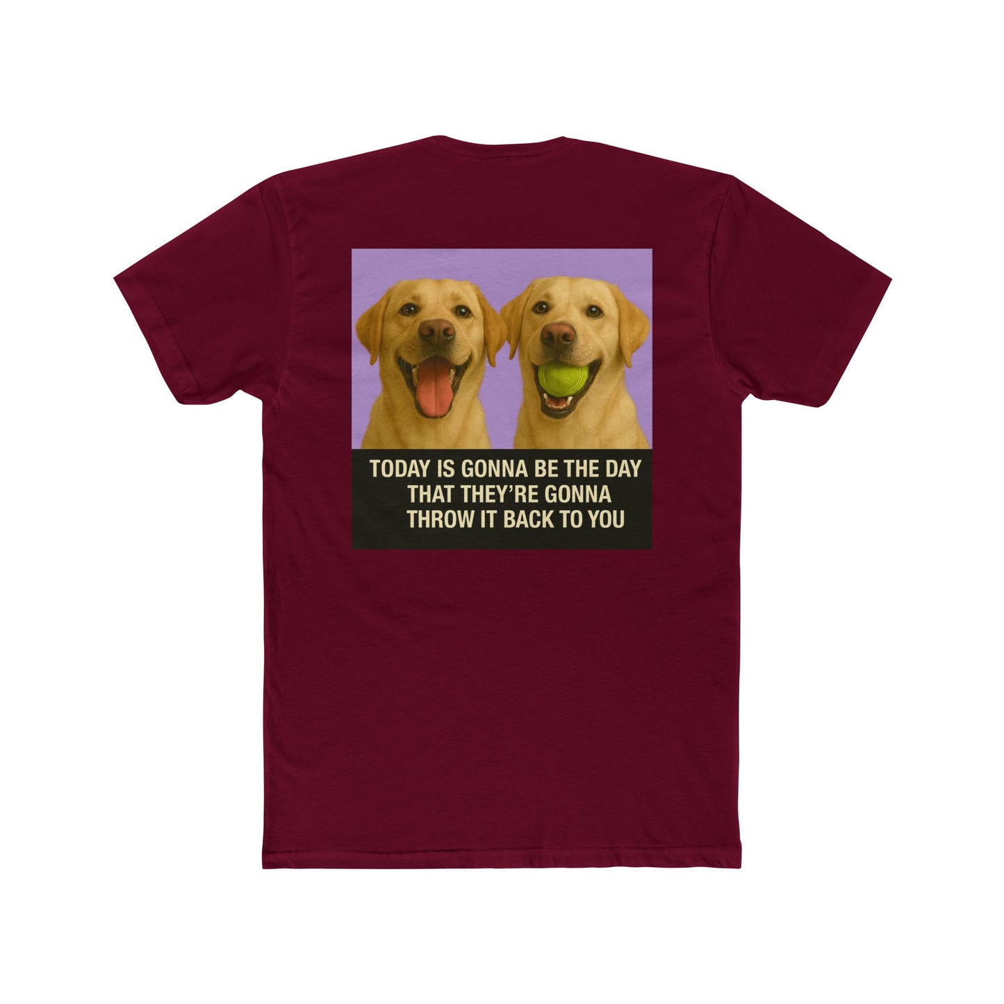 WonderBall Labrador Duo