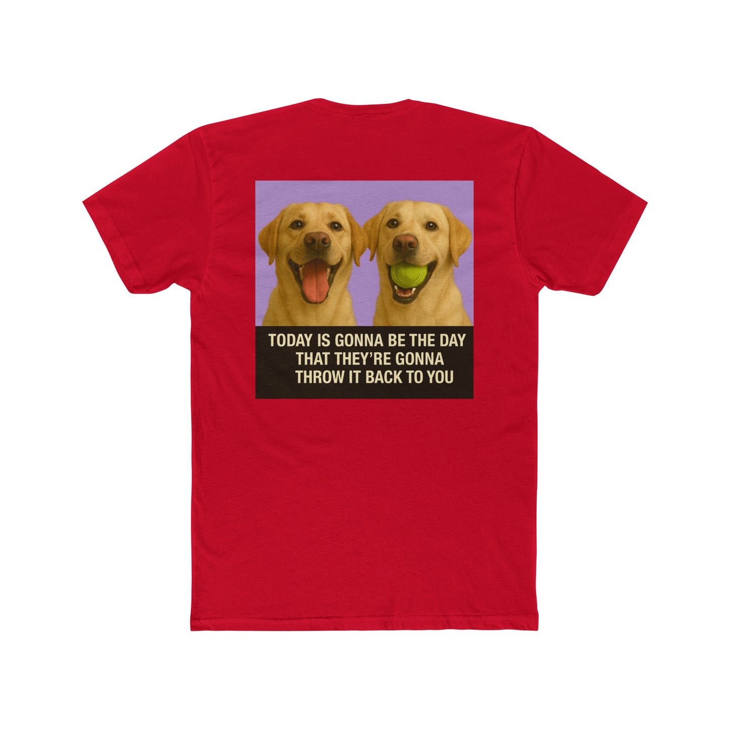 WonderBall Labrador Duo