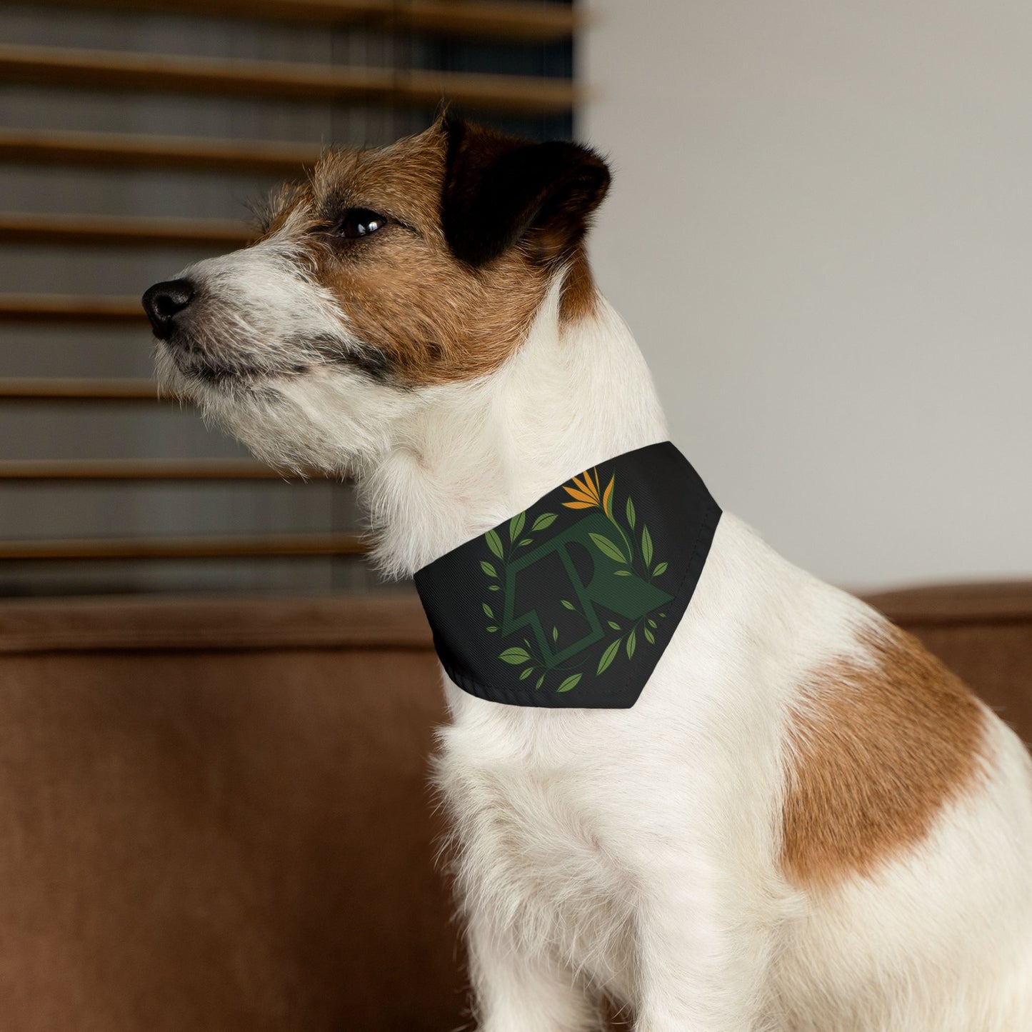 12R Bandana Collar