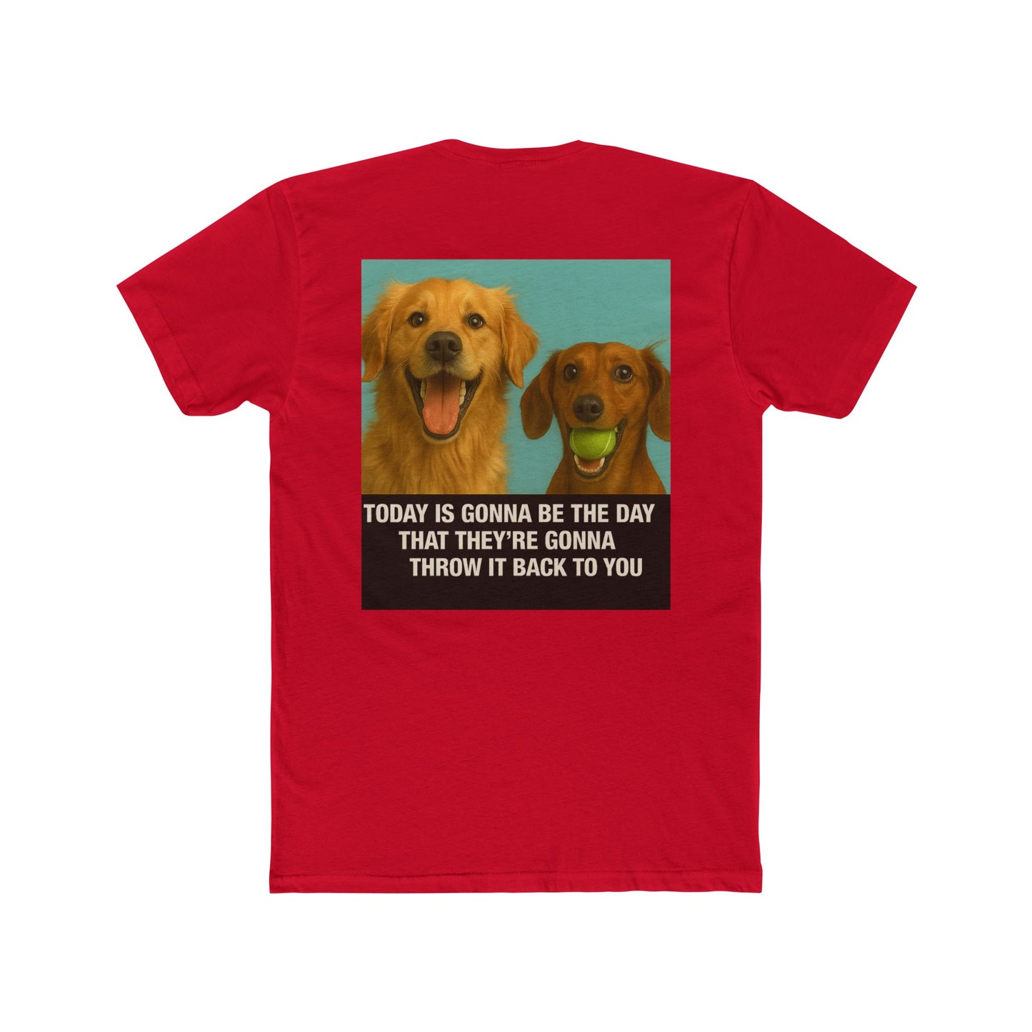 WonderBall Labrador & Dachshund Duo