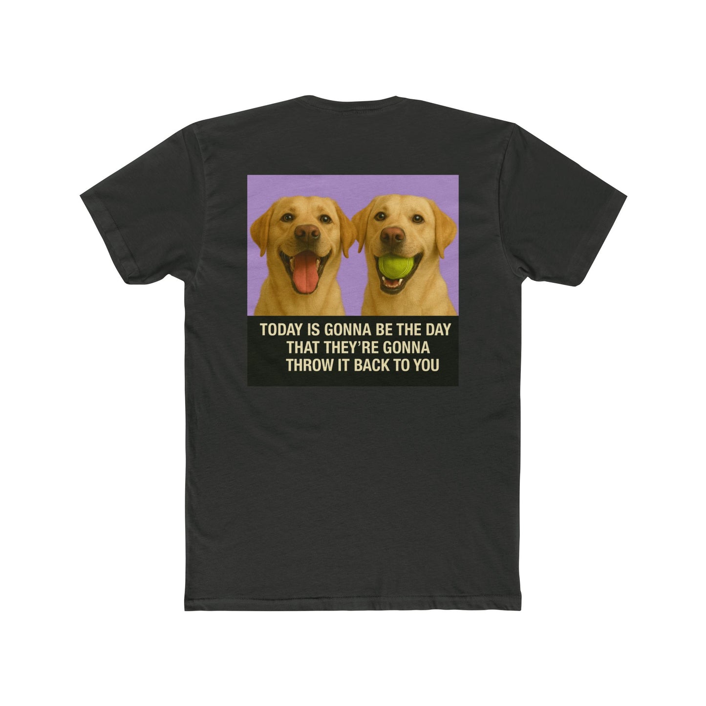 WonderBall Labrador Duo