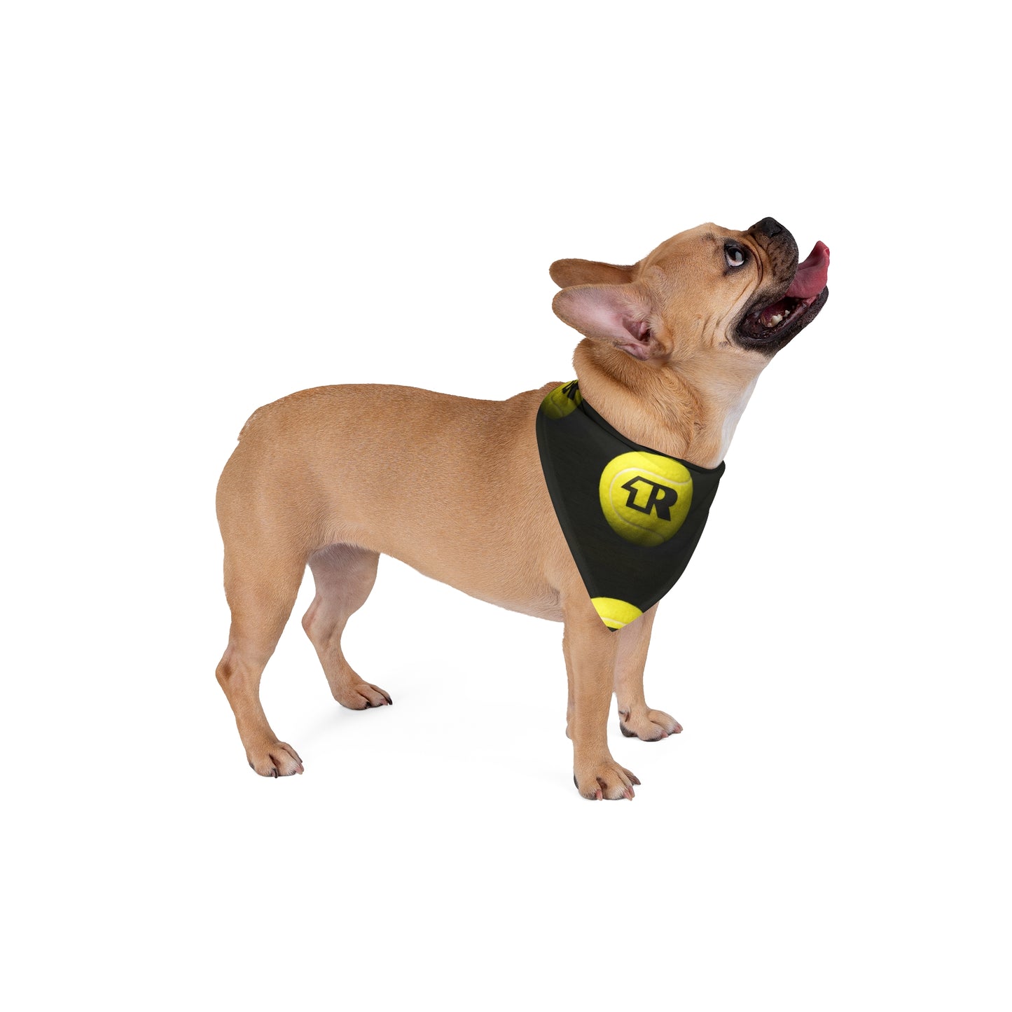 12R Logo Tennis Ball Bandana