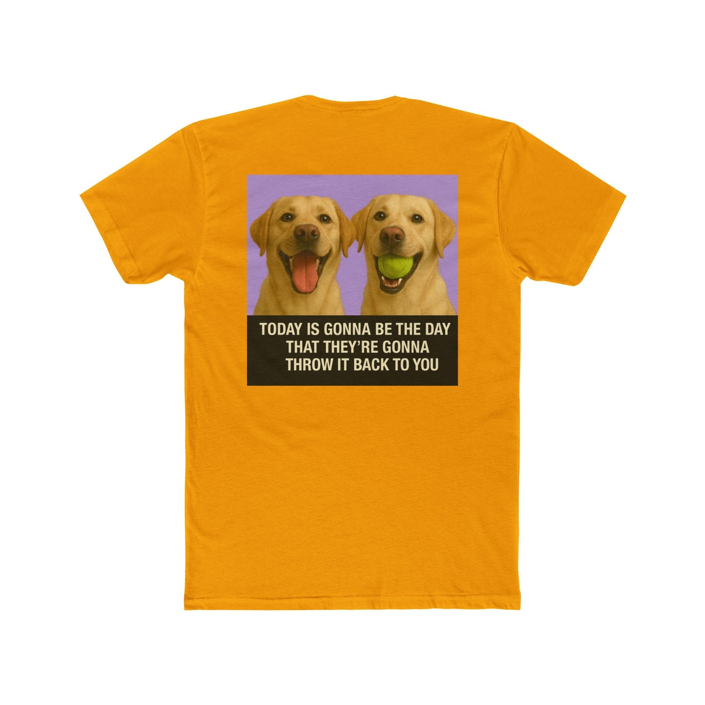 WonderBall Labrador Duo