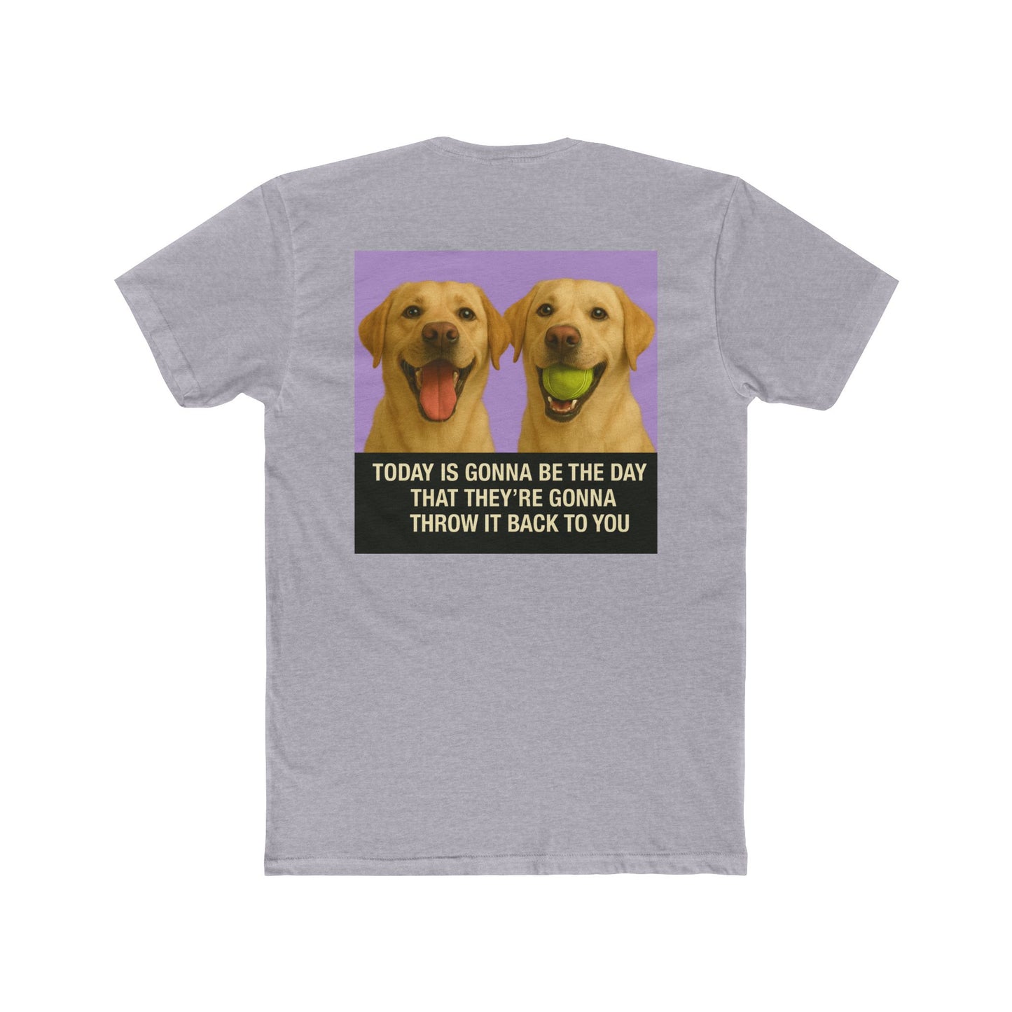 WonderBall Labrador Duo