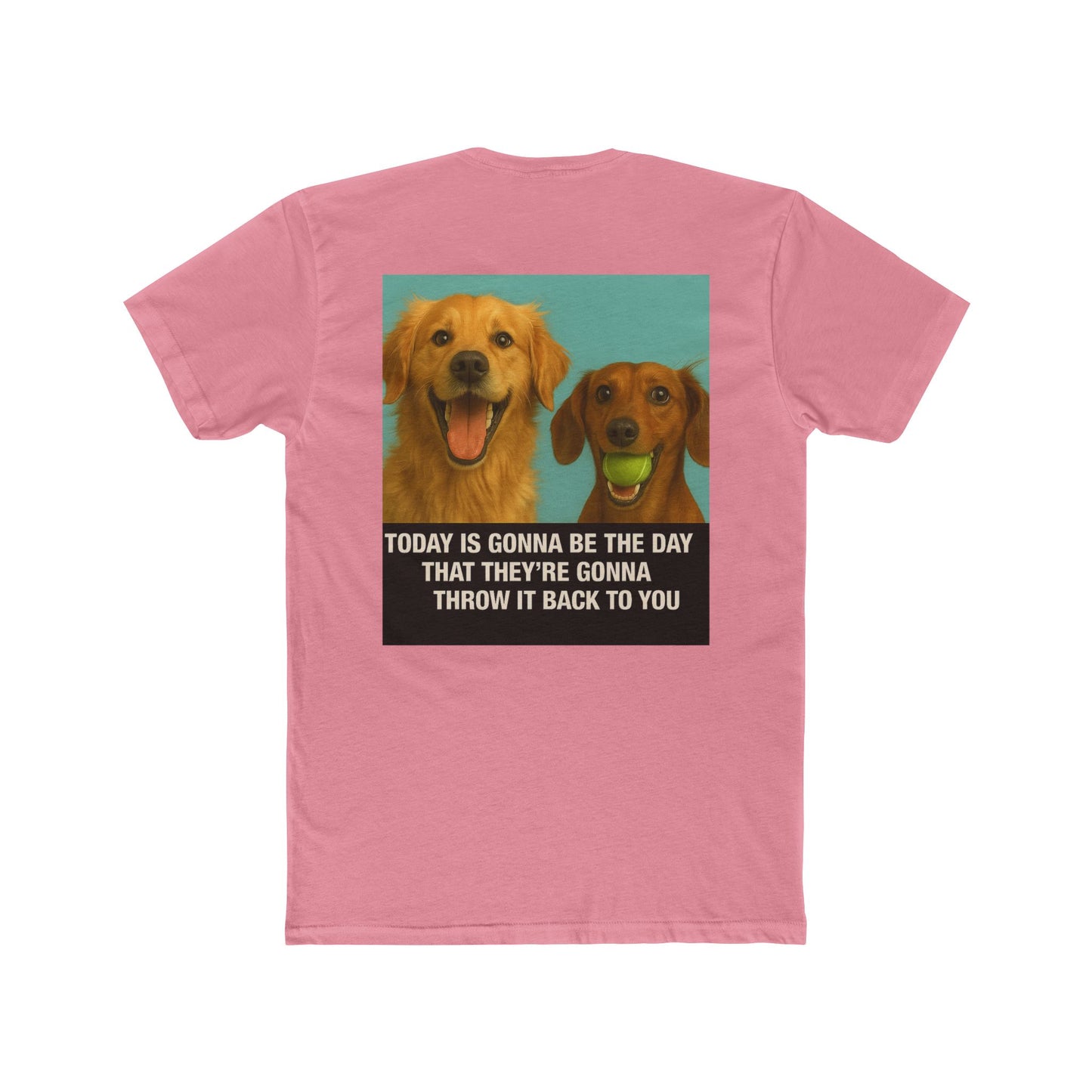 WonderBall Labrador & Dachshund Duo