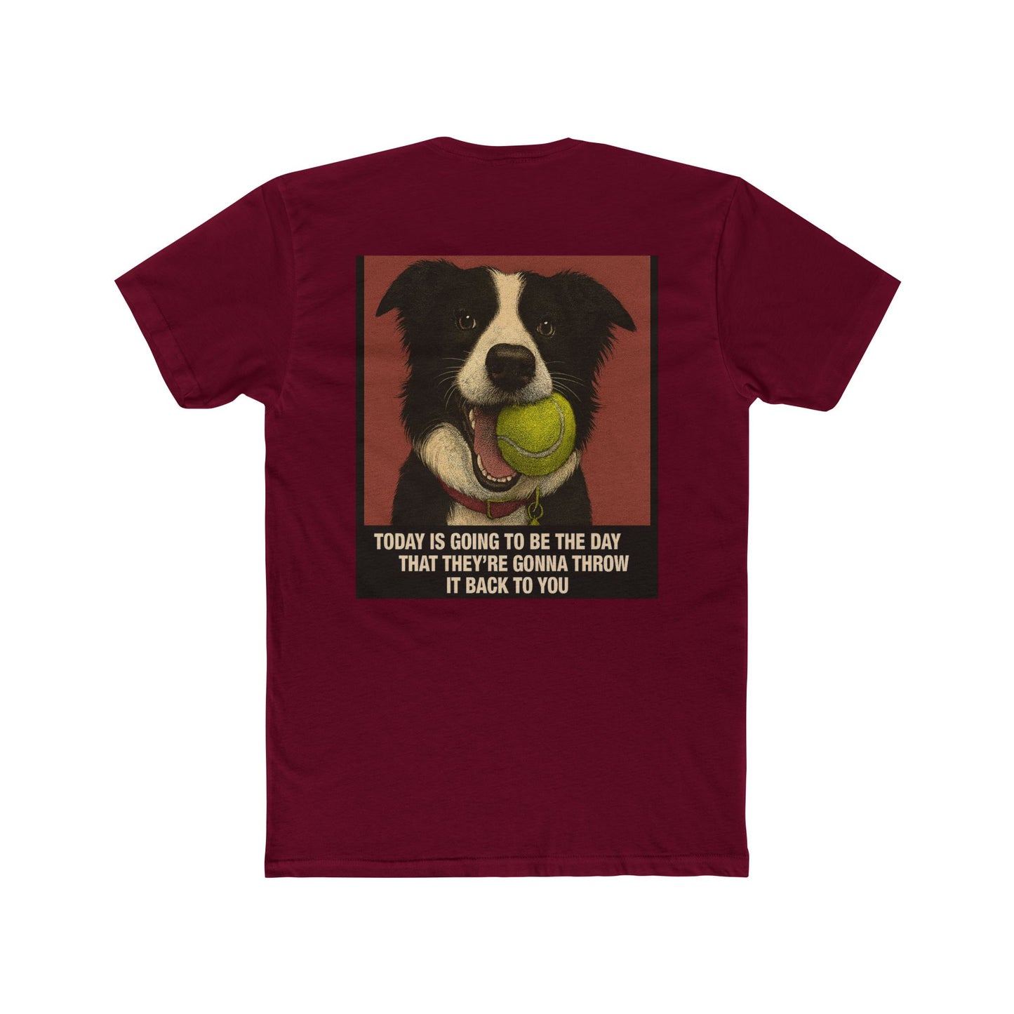 WonderBall Border Collie Comic - Zack