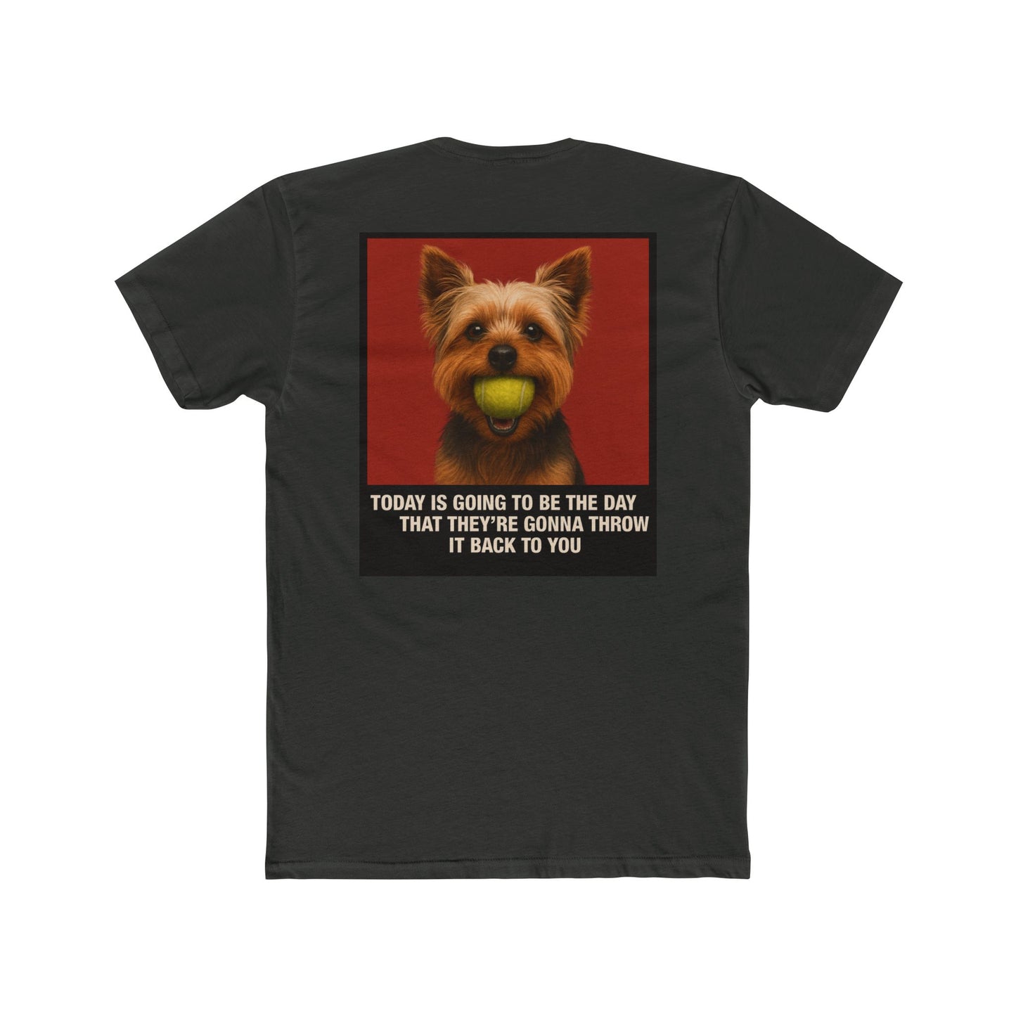 WonderBall Yorkie Custom - Oscar