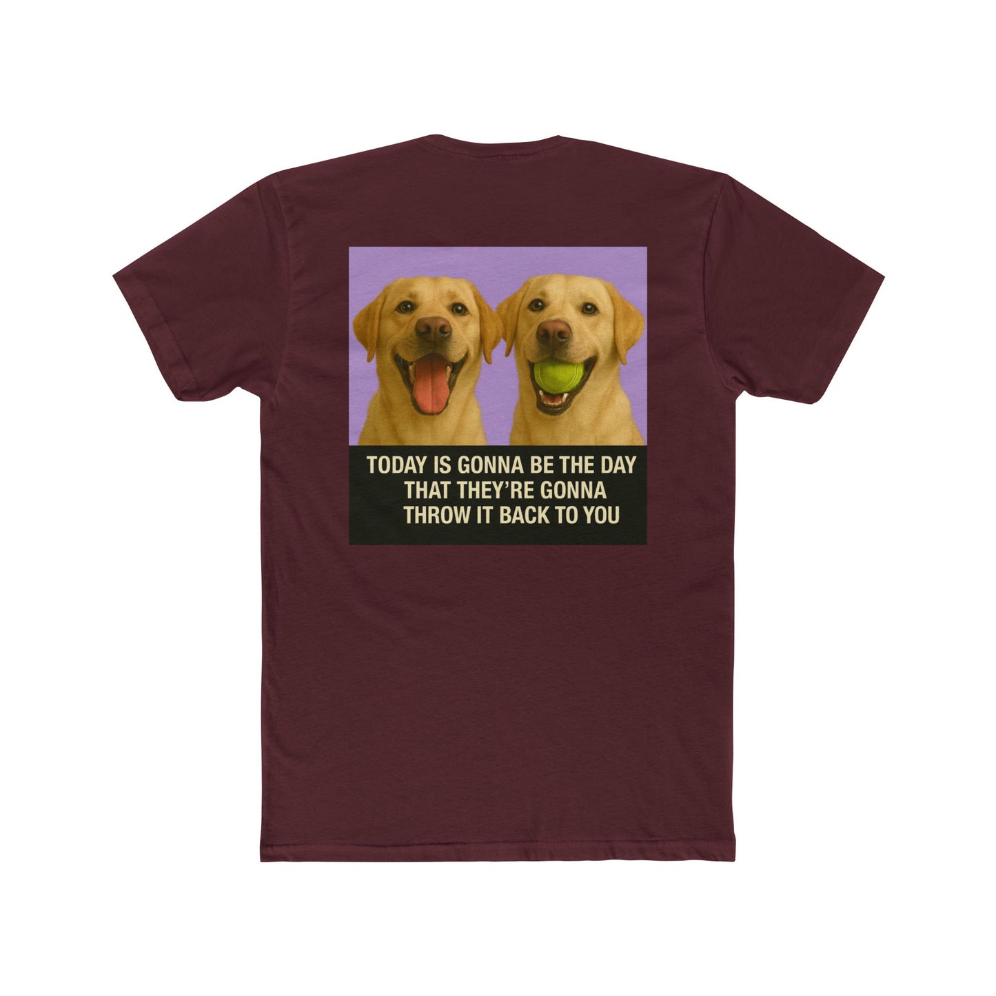 WonderBall Labrador Duo