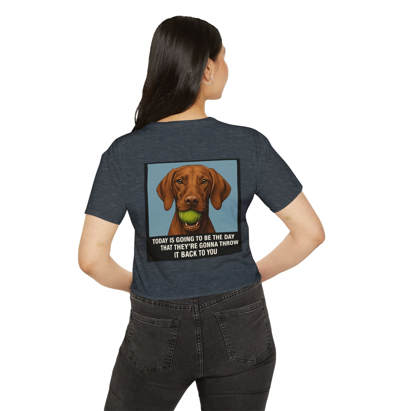 WonderBall Custom Vizla