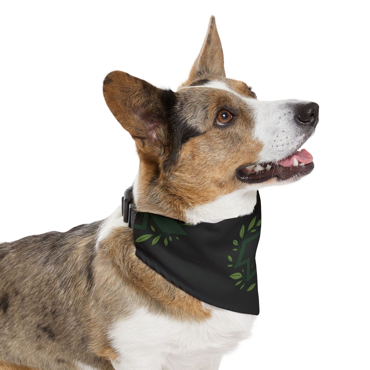 12R Bandana Collar