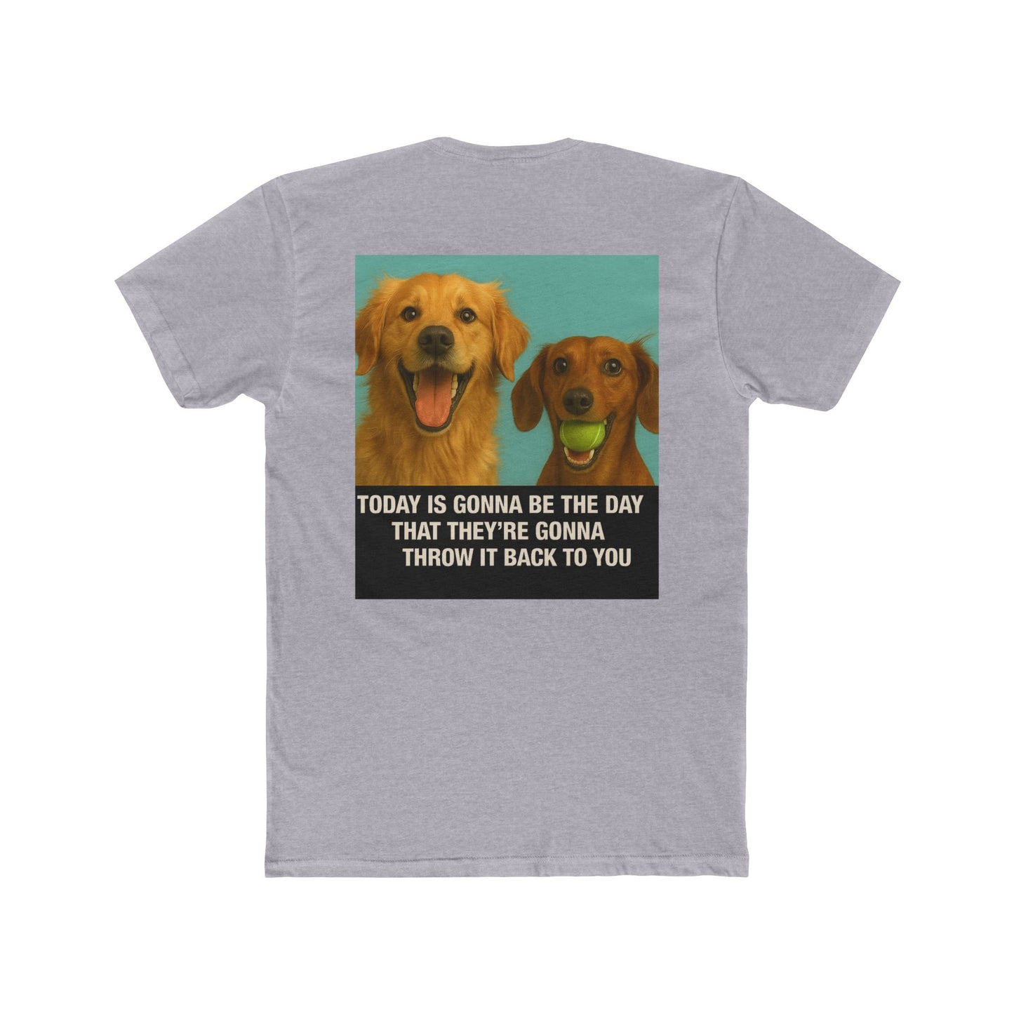 WonderBall Labrador & Dachshund Duo