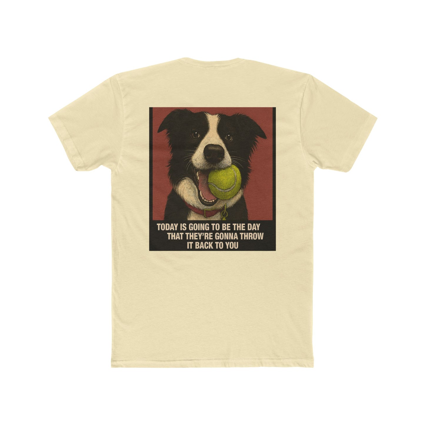 WonderBall Border Collie Comic - Zack