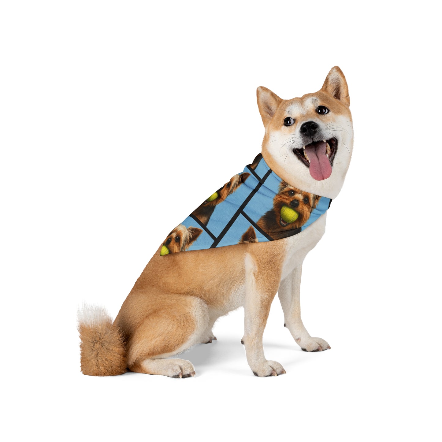 Go Fetch Bandana - Oscar