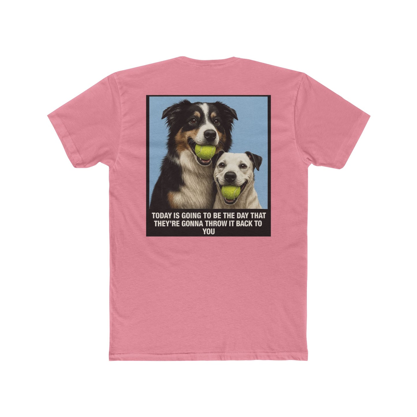 WonderBall Realistic Australian Shepherd & Jack Russell