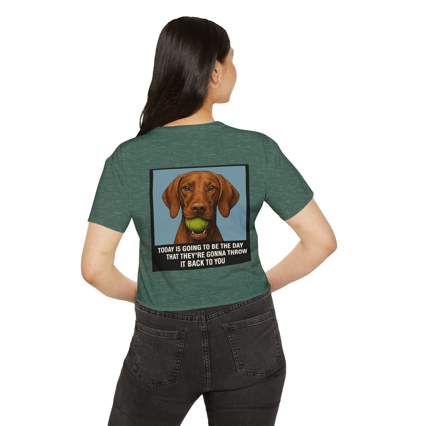 WonderBall Custom Vizla