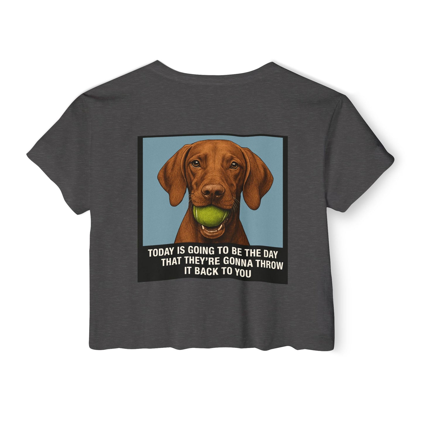 WonderBall Custom Vizla