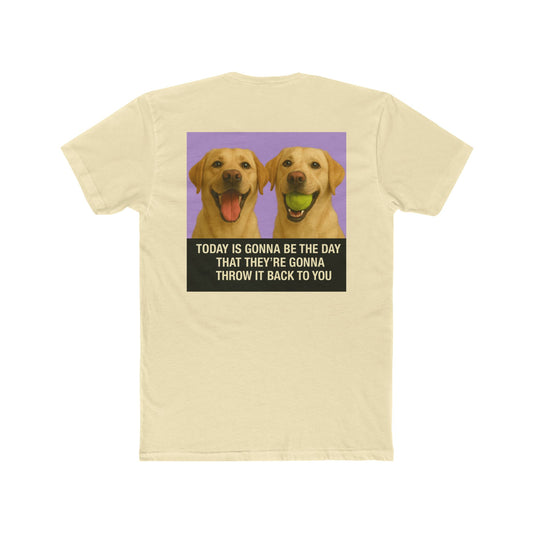WonderBall Labrador Duo