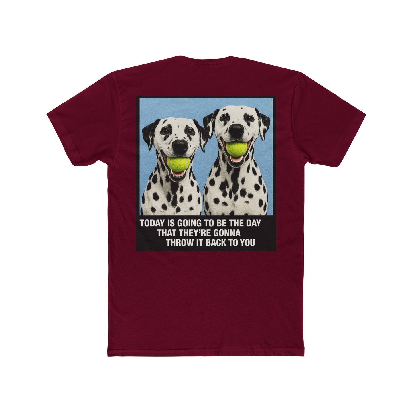 WonderBall Dalmatian Duo