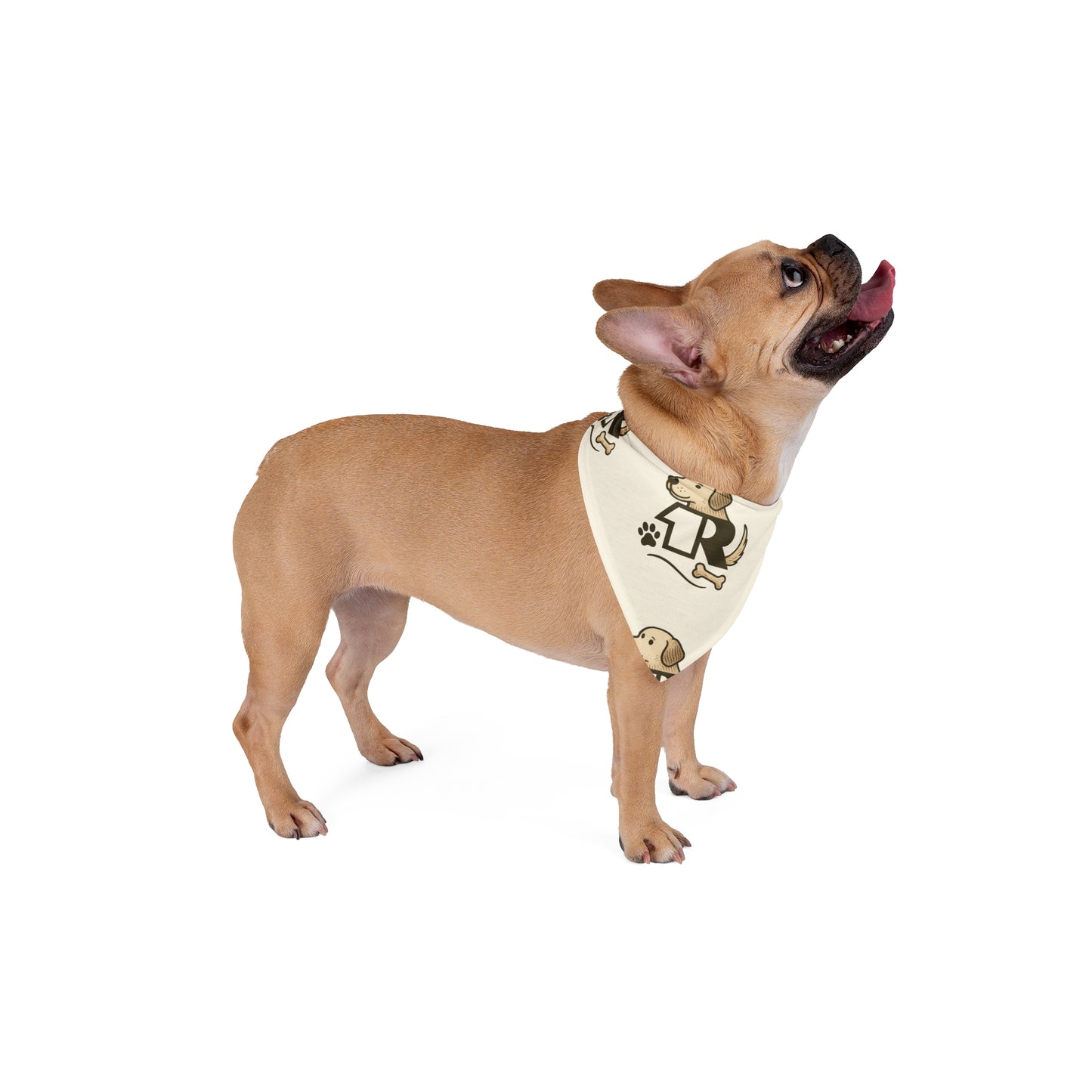 12R Logo Pupper Bandana
