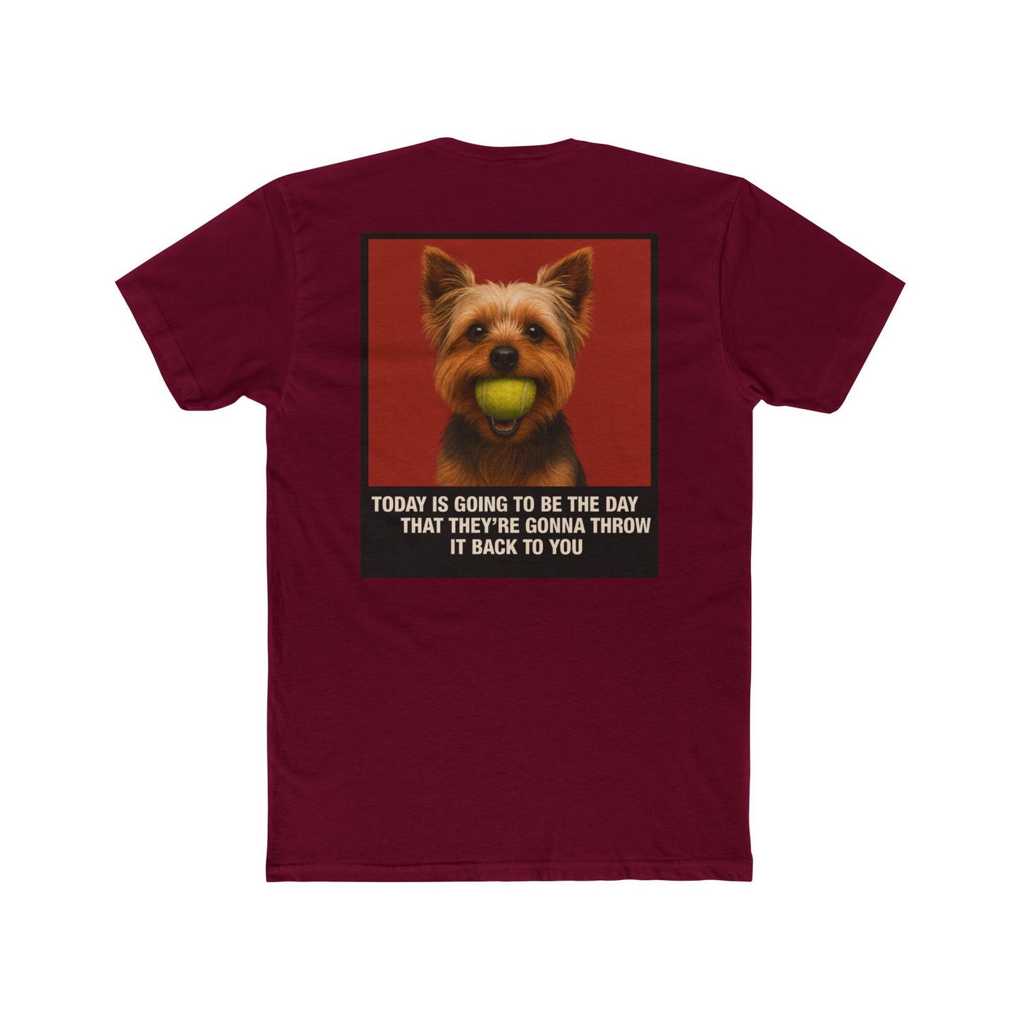 WonderBall Yorkie Custom - Oscar