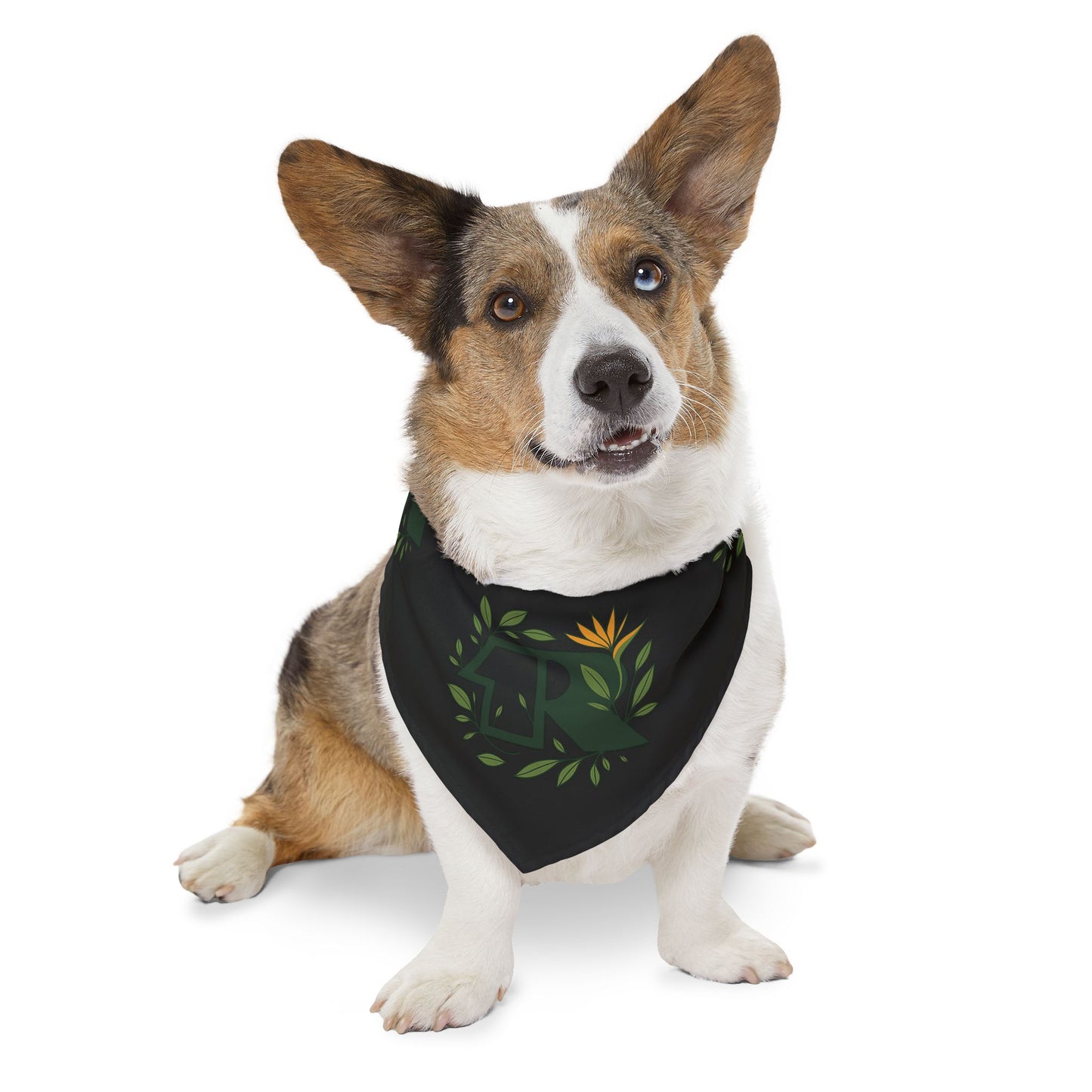 12R Bandana Collar