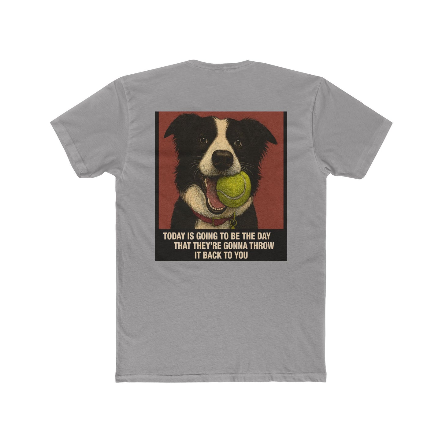WonderBall Border Collie Comic - Zack