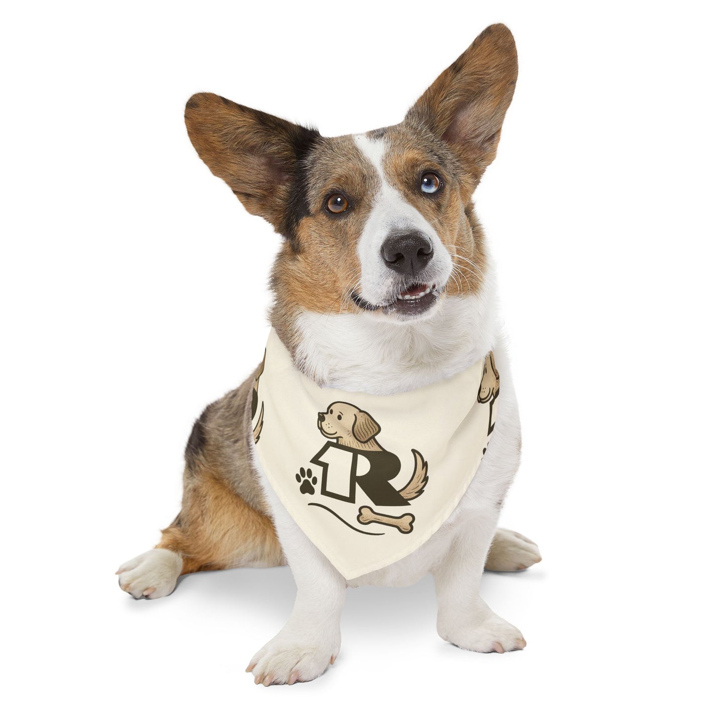 12R Logo Bandana Collar