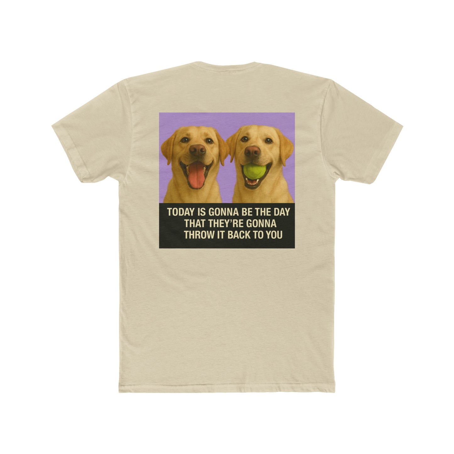 WonderBall Labrador Duo