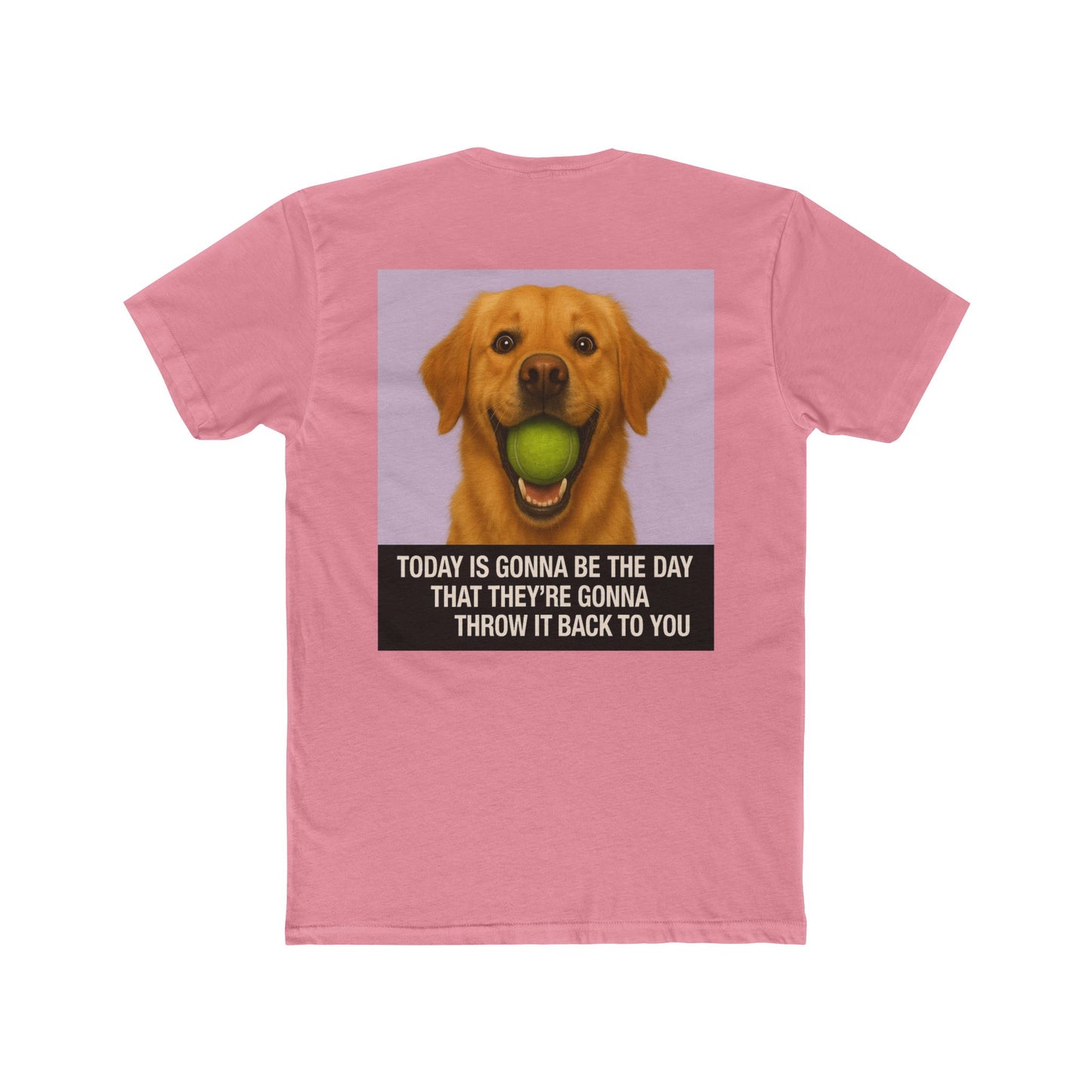 WonderBall Realistic Labrador