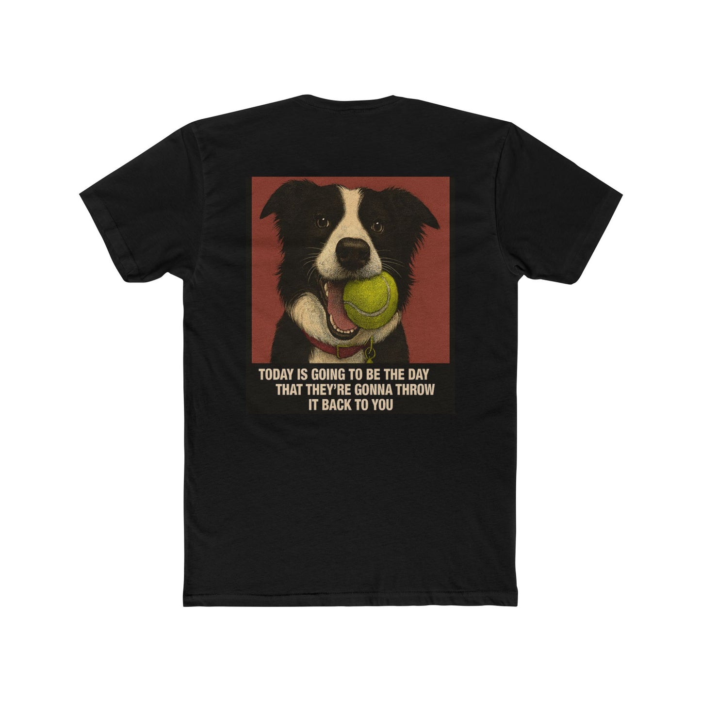 WonderBall Border Collie Comic - Zack
