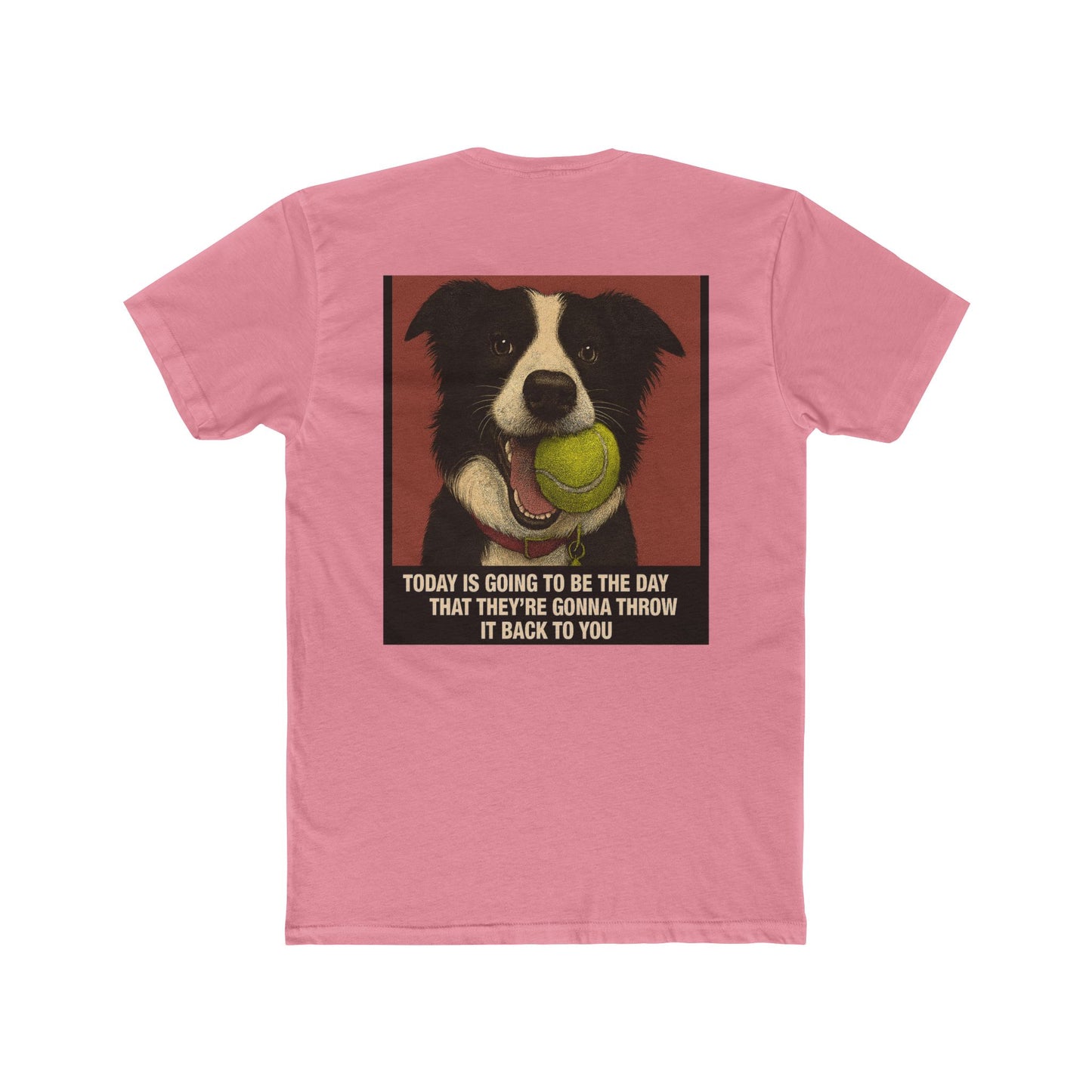 WonderBall Border Collie Comic - Zack