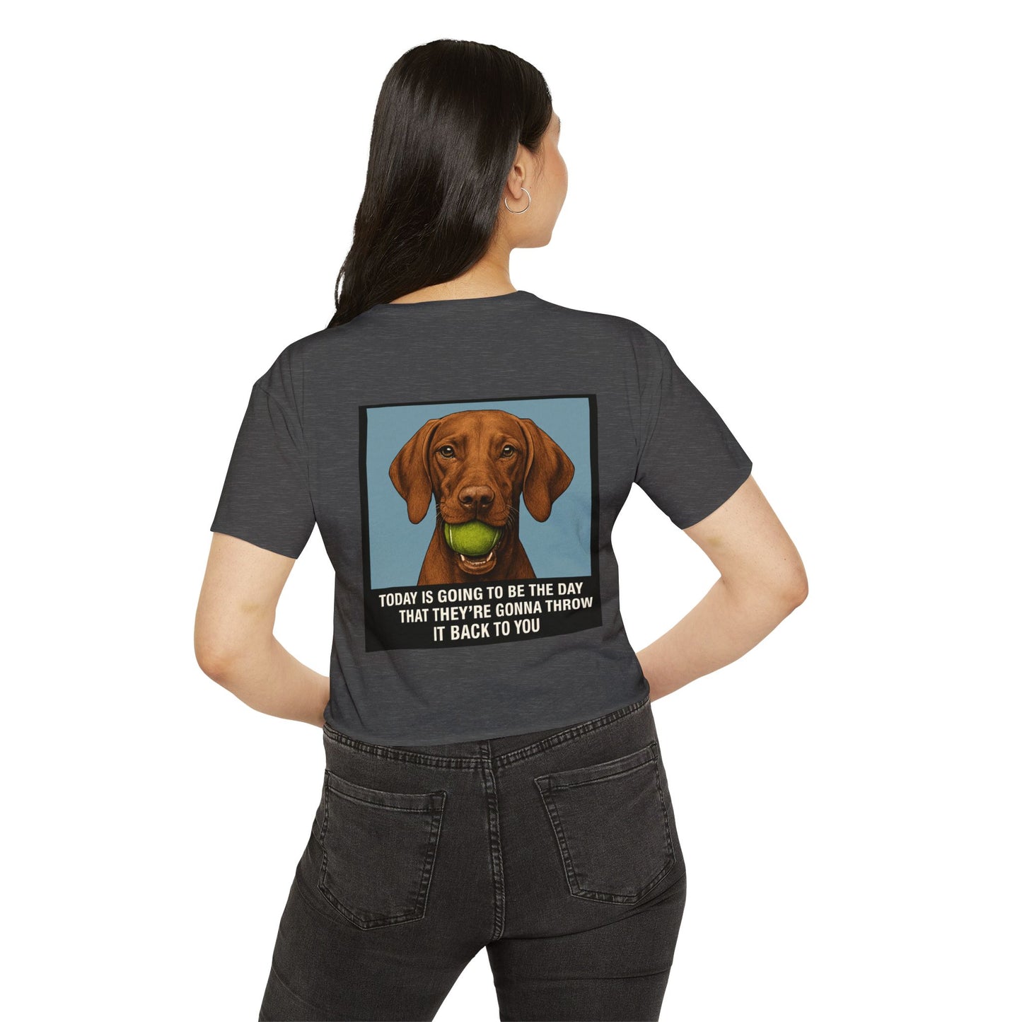 WonderBall Custom Vizla