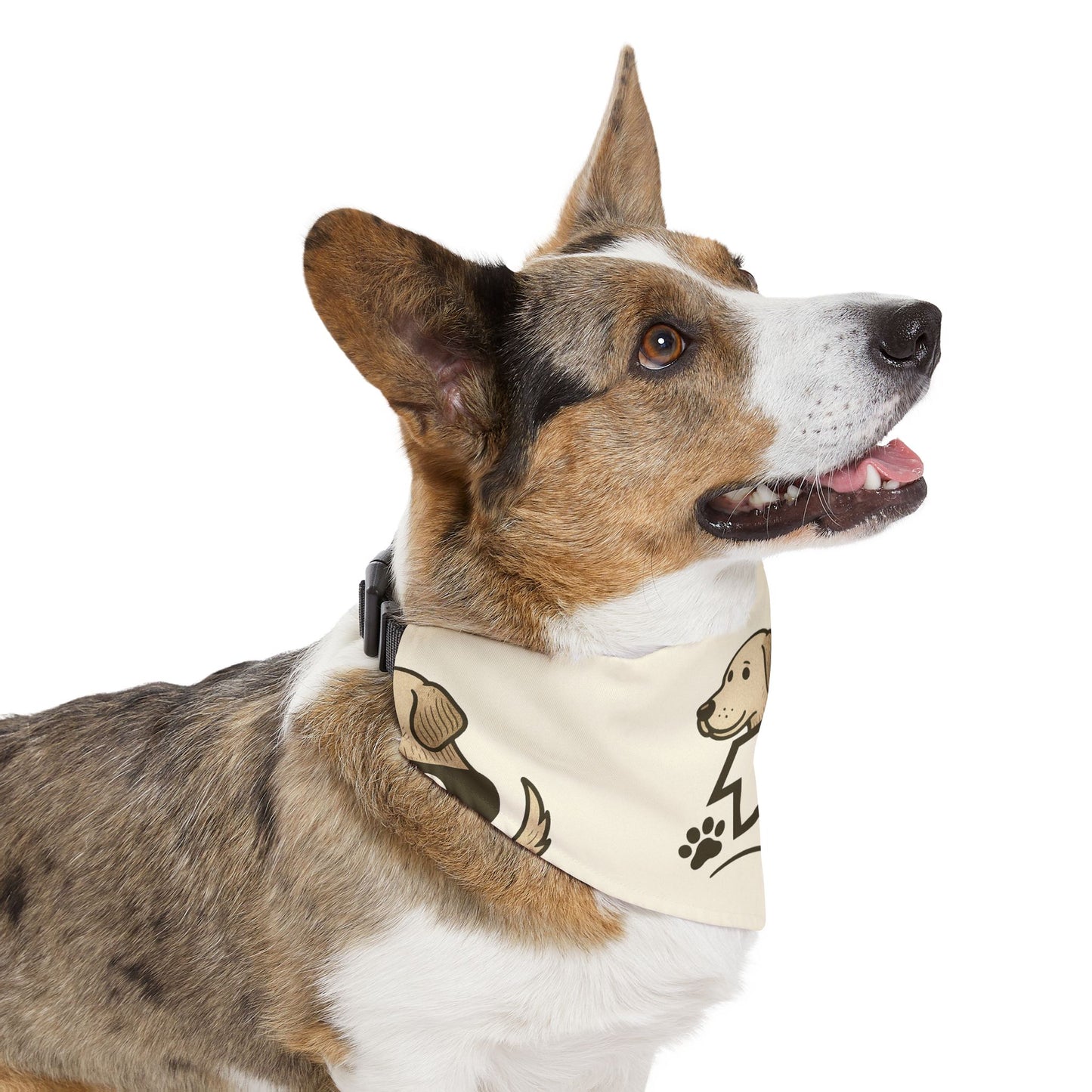 12R Logo Bandana Collar