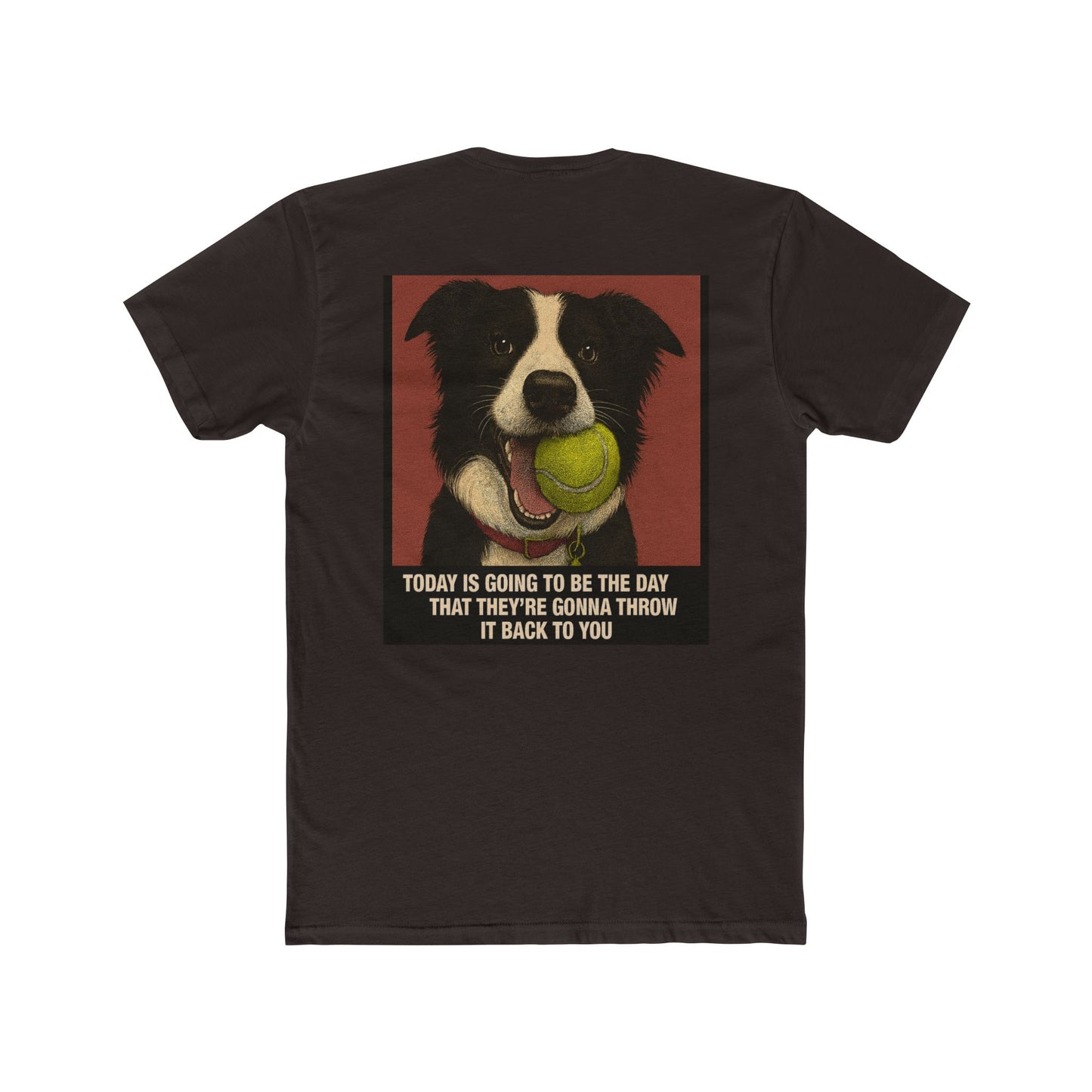 WonderBall Border Collie Comic - Zack