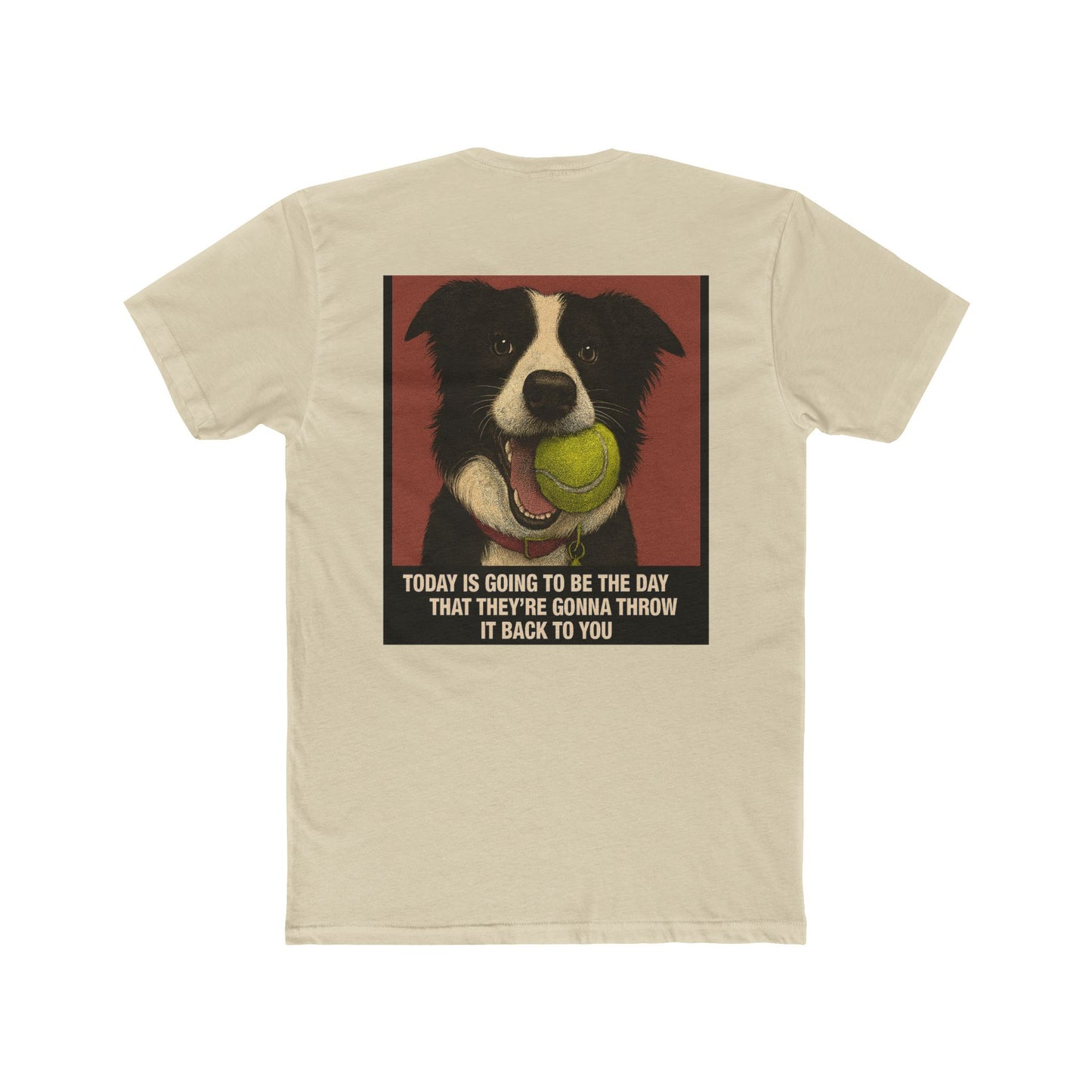 WonderBall Border Collie Comic - Zack