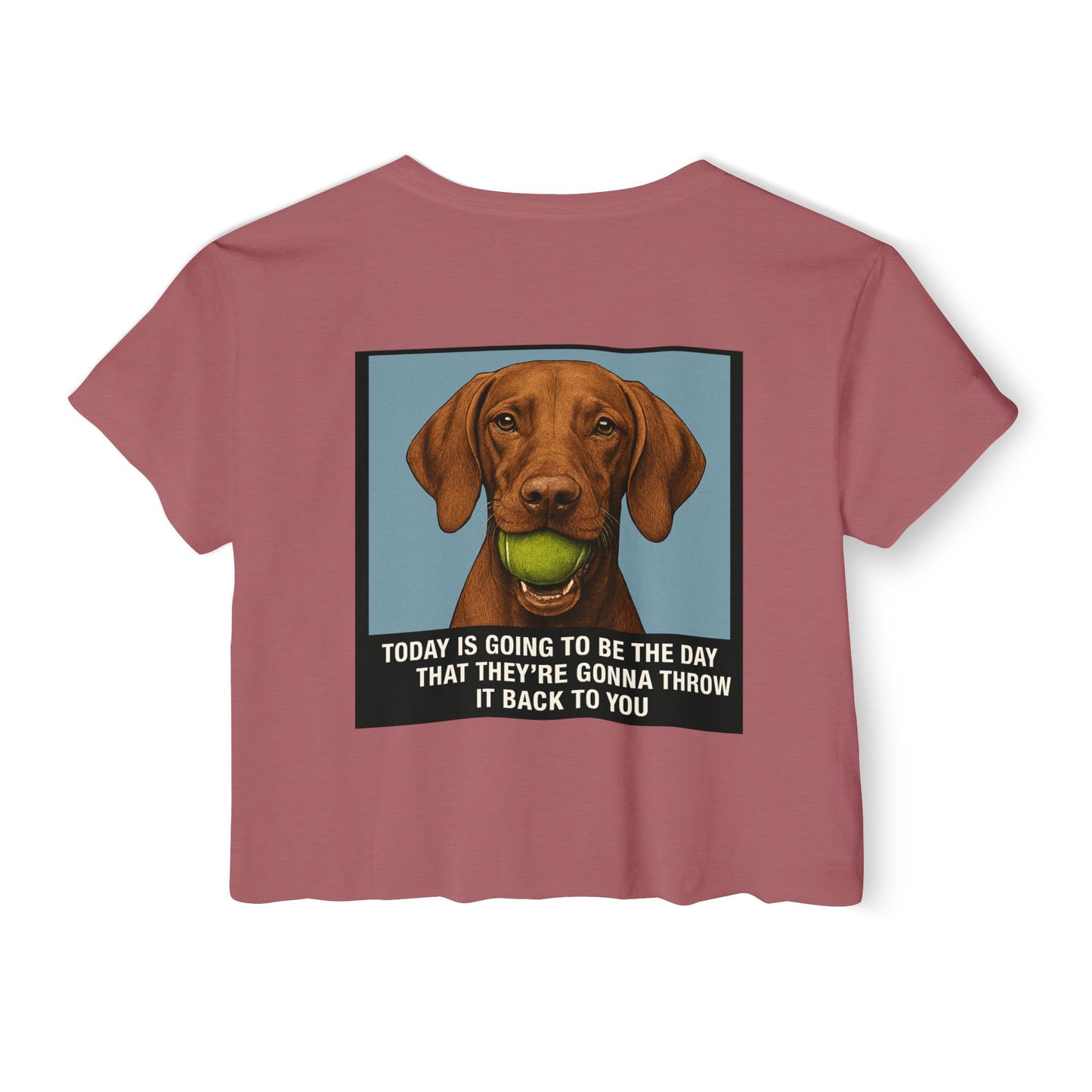 WonderBall Custom Vizla
