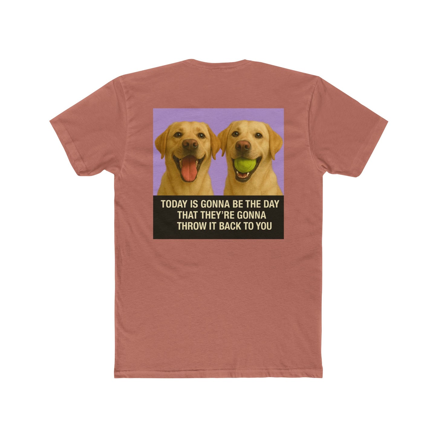 WonderBall Labrador Duo
